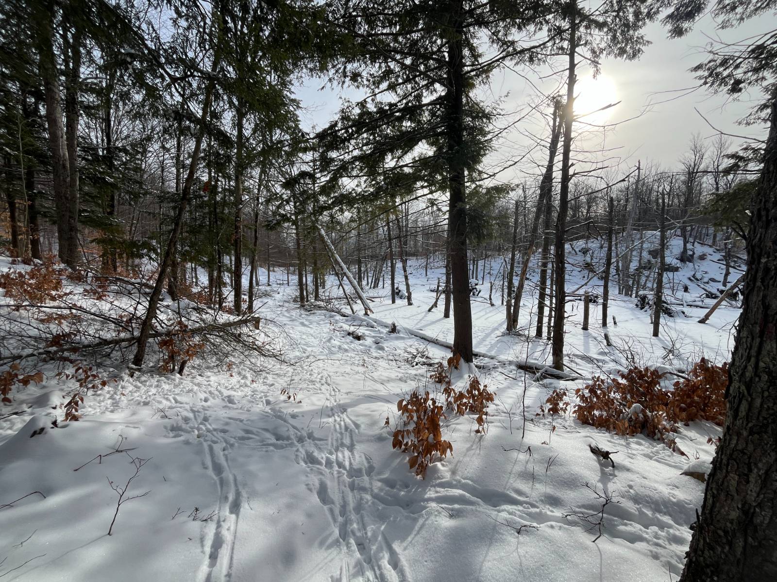 #2 photo, 410 Boyd Pond Rd, Russell , NY 13684