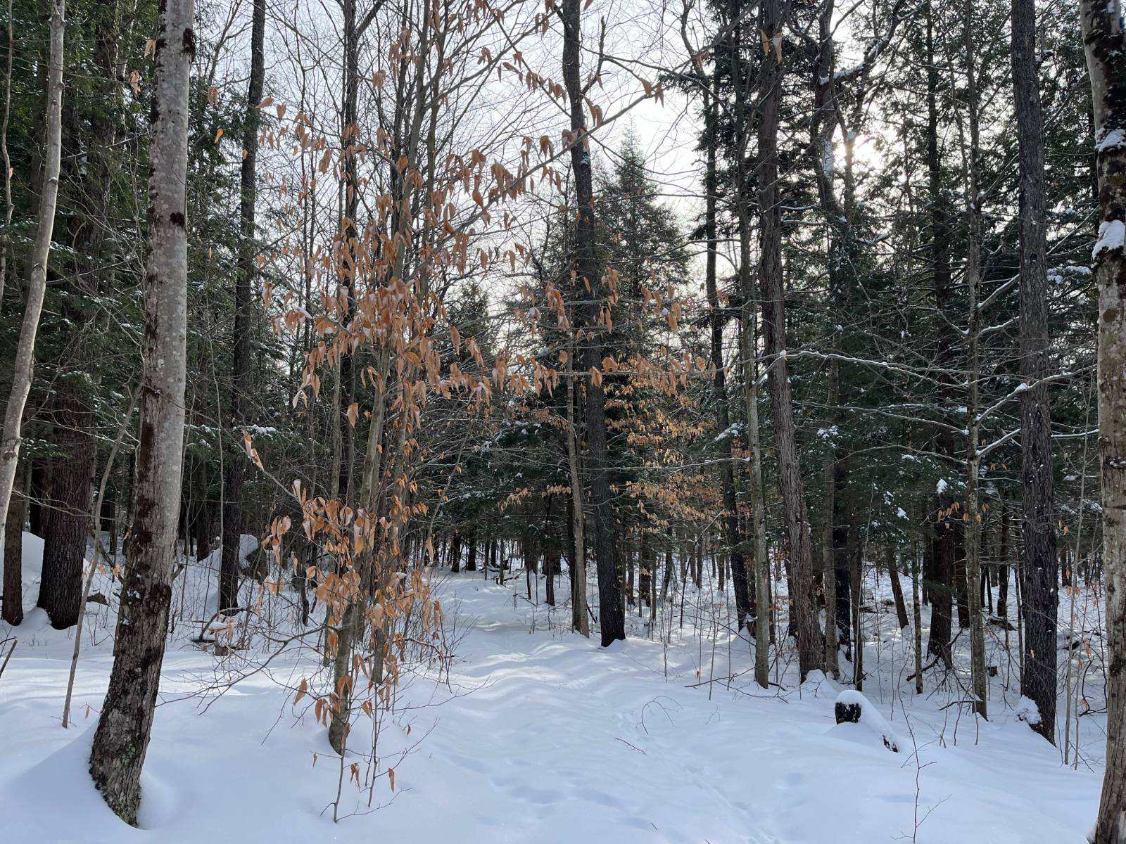 #20 photo, 410 Boyd Pond Rd, Russell , NY 13684