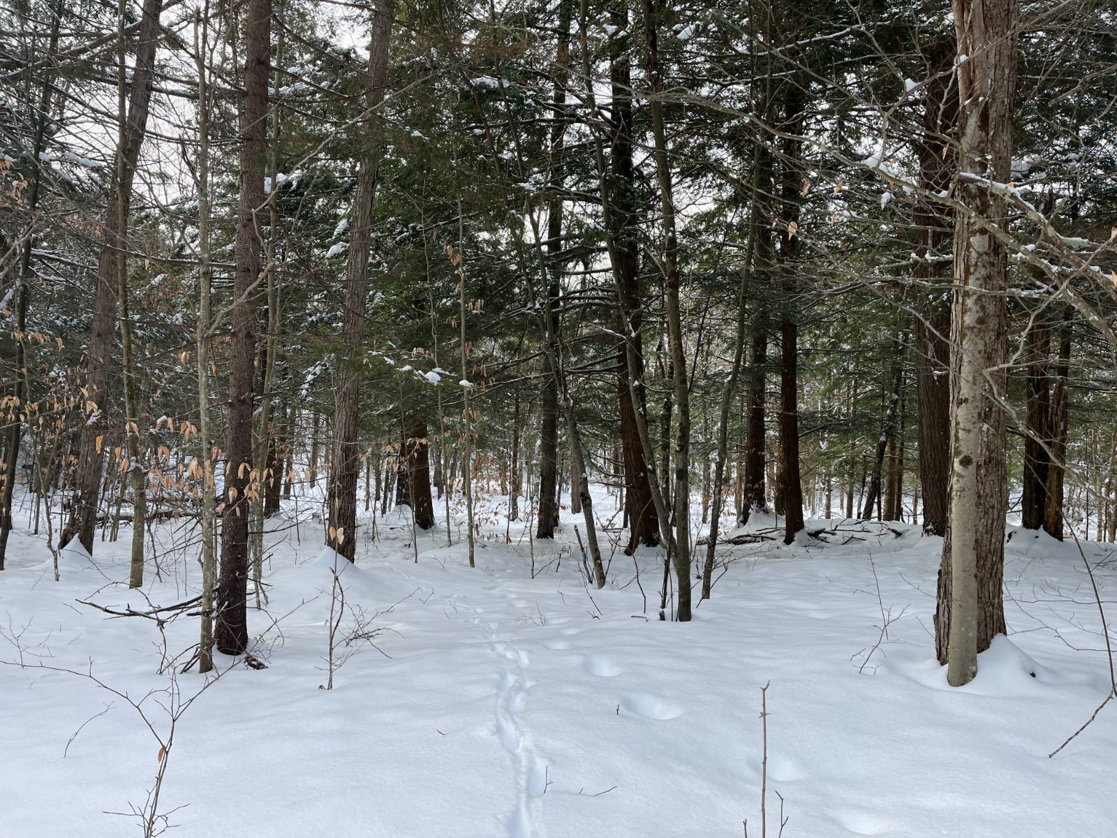 #21 photo, 410 Boyd Pond Rd, Russell , NY 13684