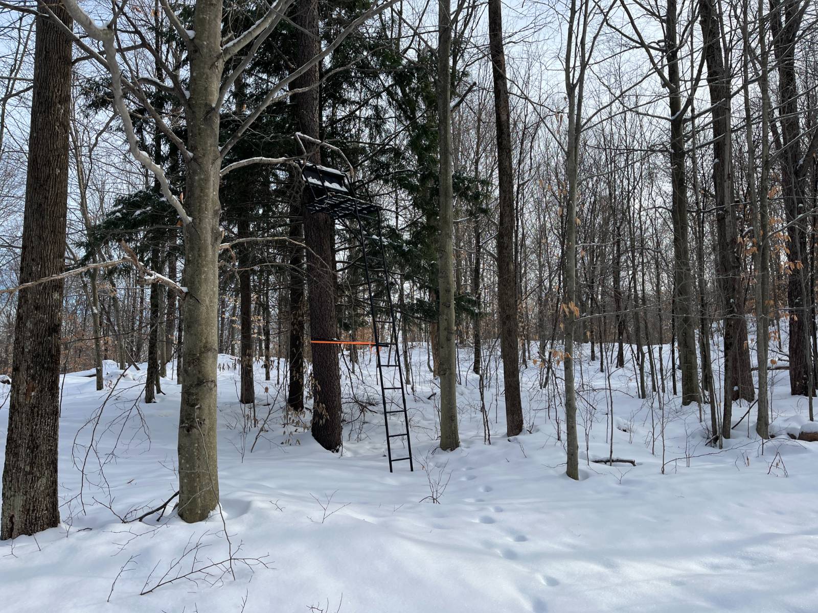 #22 photo, 410 Boyd Pond Rd, Russell , NY 13684