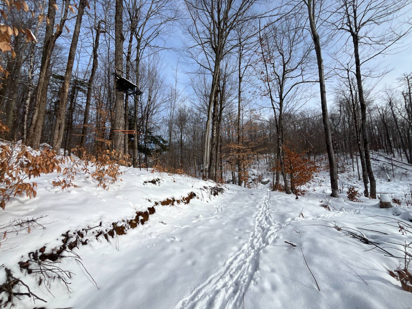 #23 photo, 410 Boyd Pond Rd, Russell , NY 13684