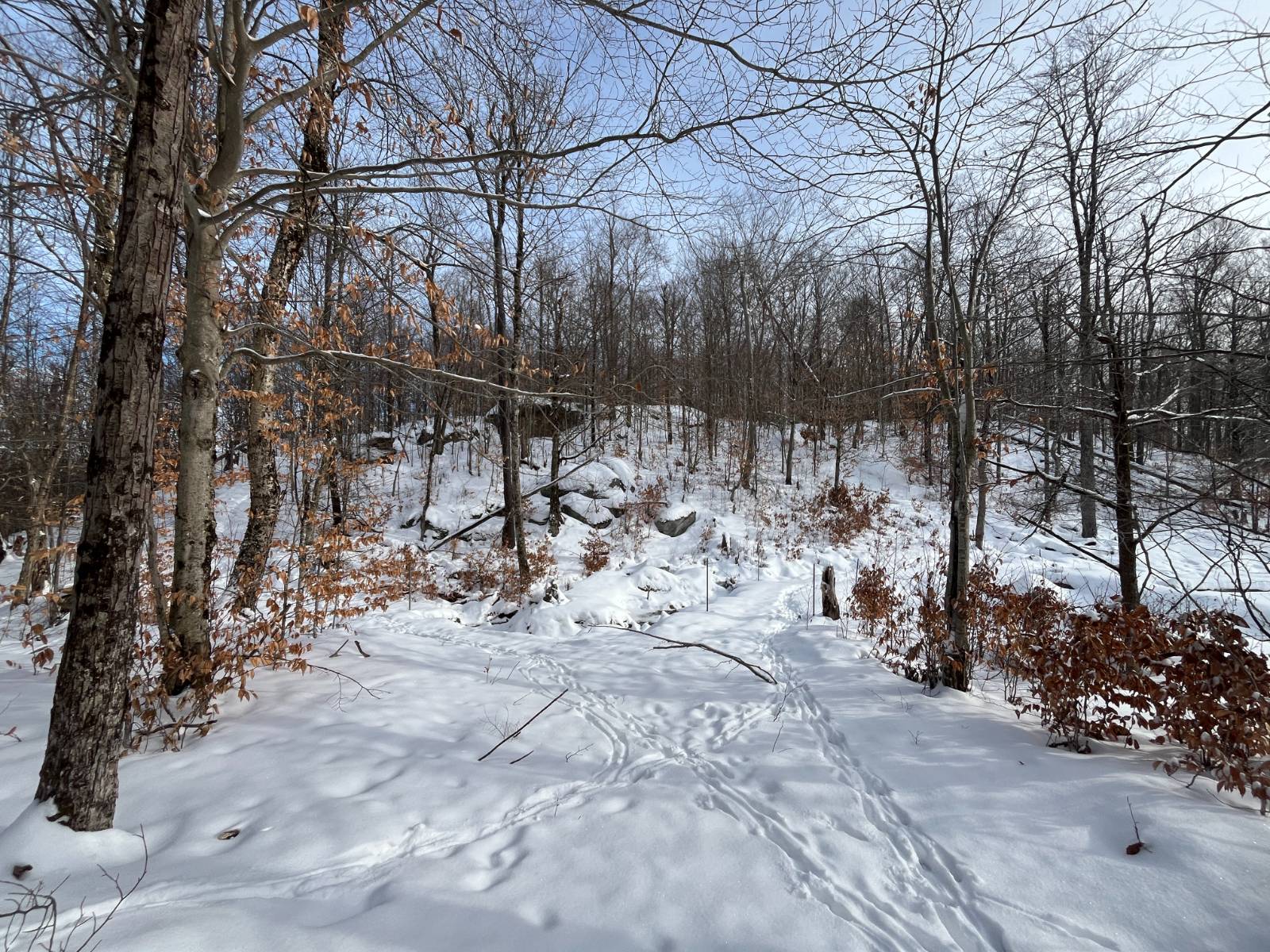 #24 photo, 410 Boyd Pond Rd, Russell , NY 13684