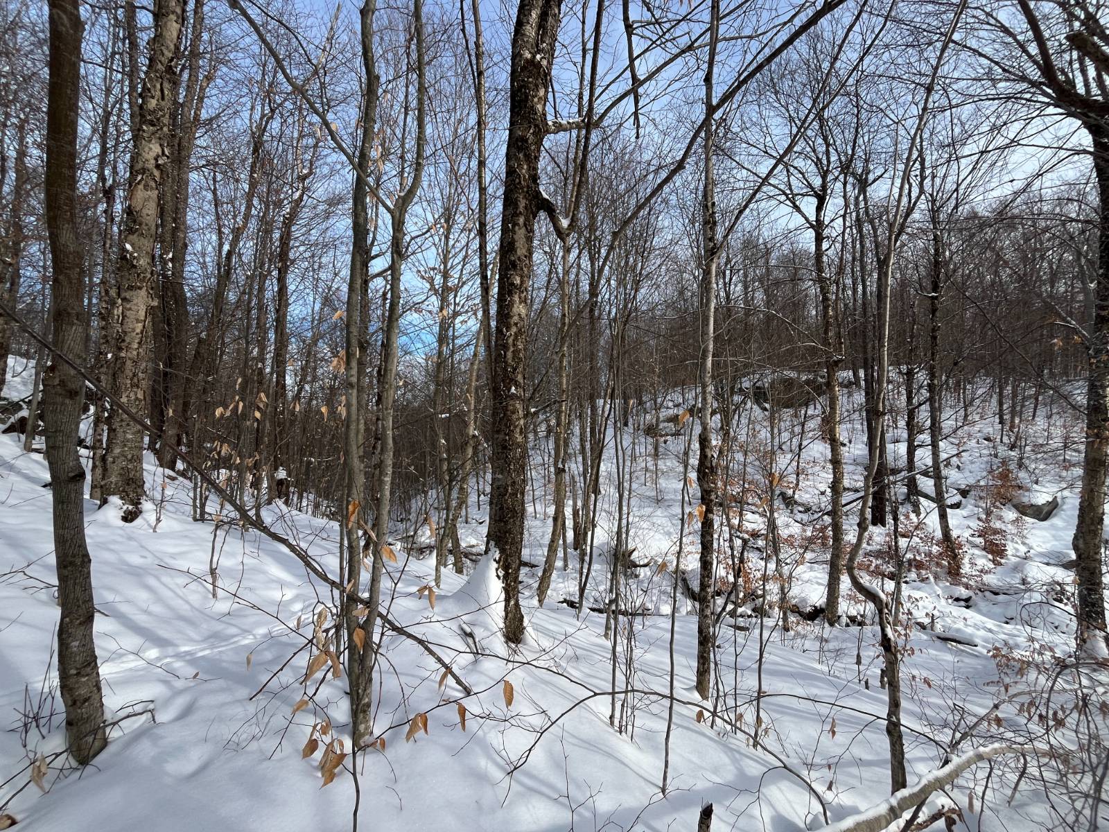 #25 photo, 410 Boyd Pond Rd, Russell , NY 13684