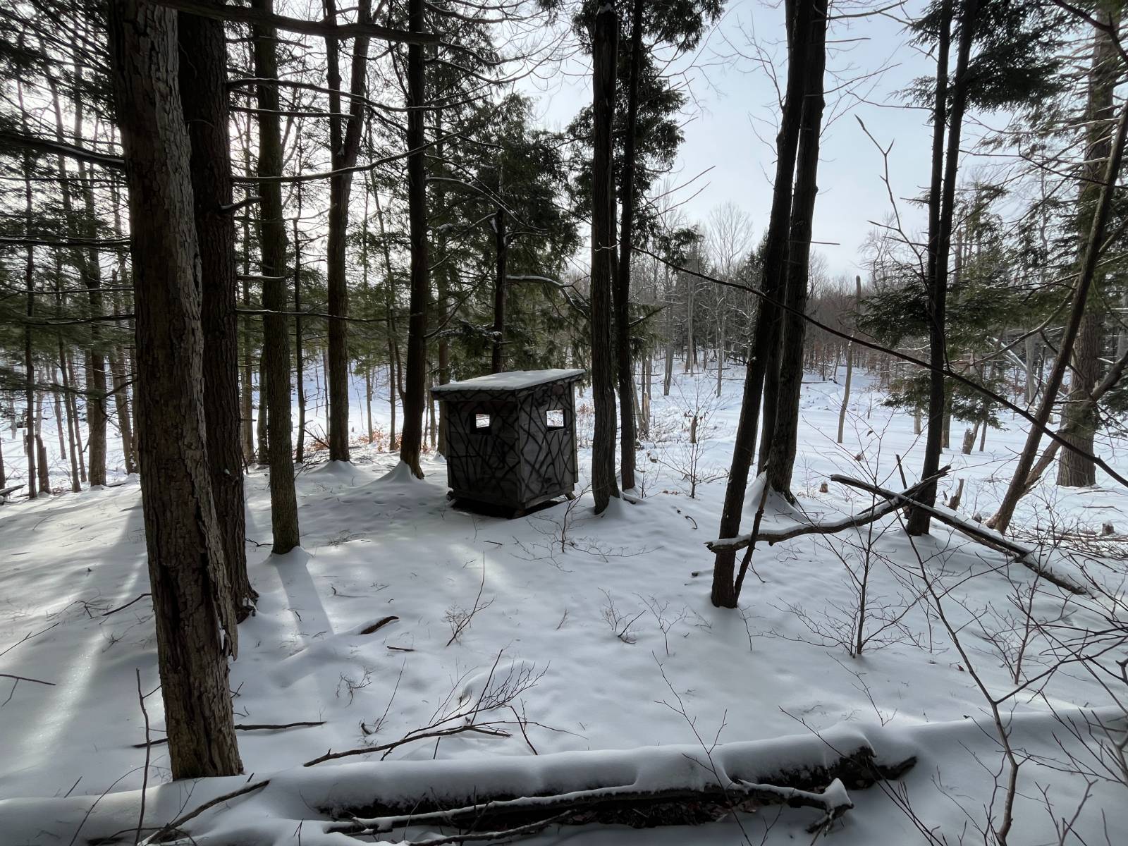 #26 photo, 410 Boyd Pond Rd, Russell , NY 13684