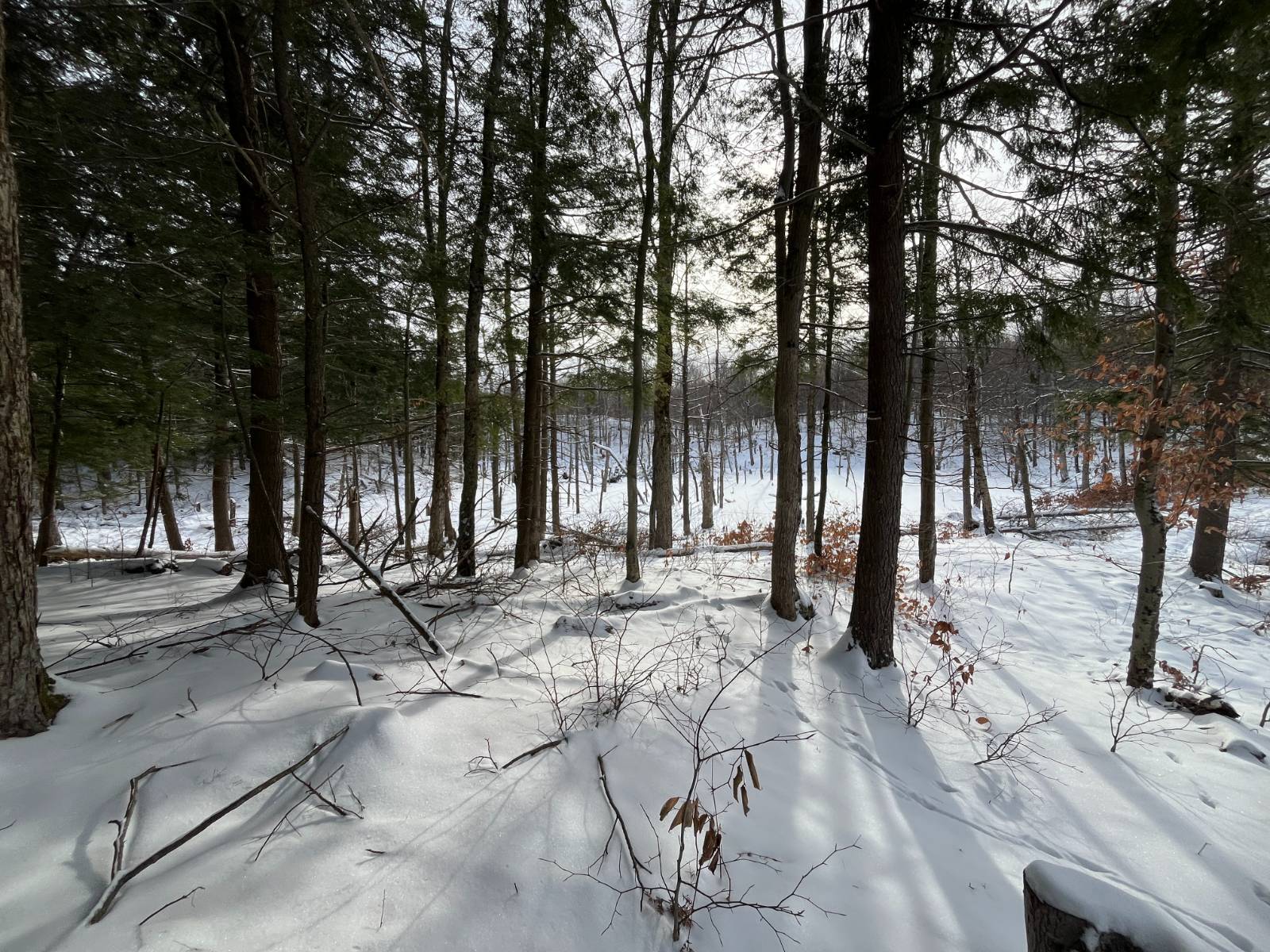 #27 photo, 410 Boyd Pond Rd, Russell , NY 13684