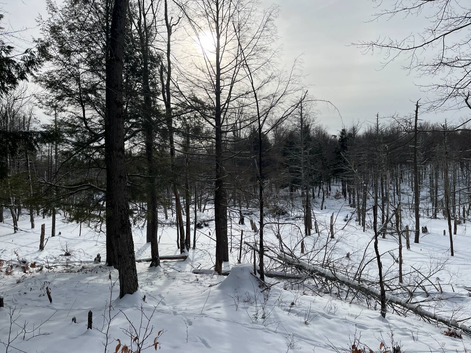 #28 photo, 410 Boyd Pond Rd, Russell , NY 13684