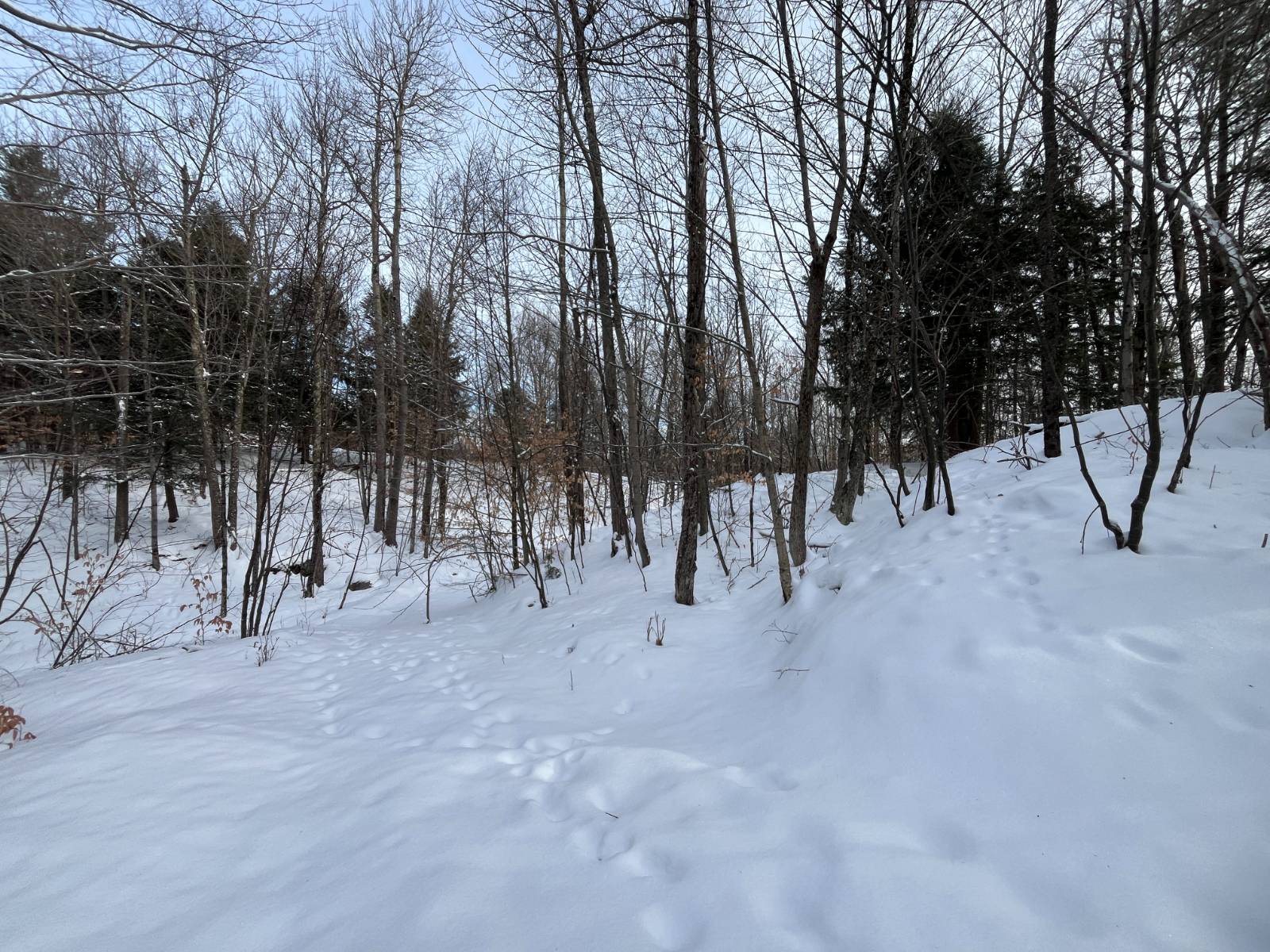 #29 photo, 410 Boyd Pond Rd, Russell , NY 13684