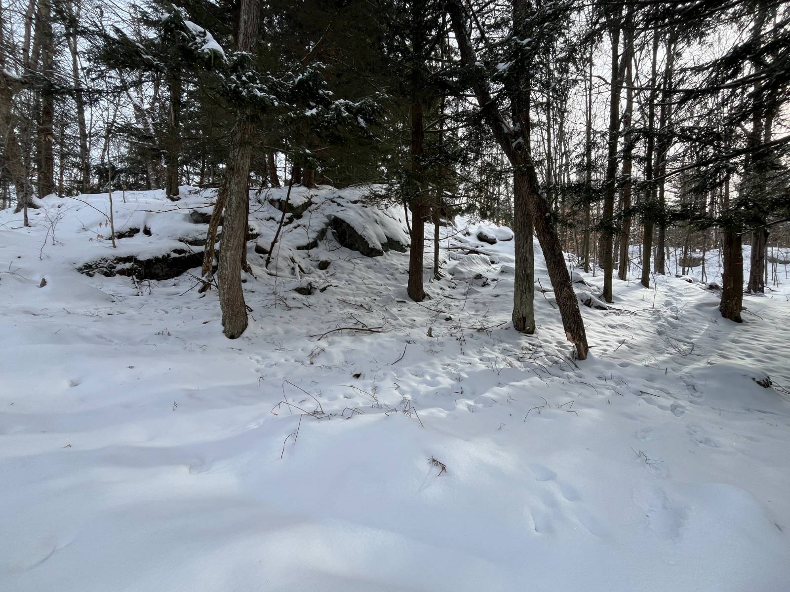 #30 photo, 410 Boyd Pond Rd, Russell , NY 13684