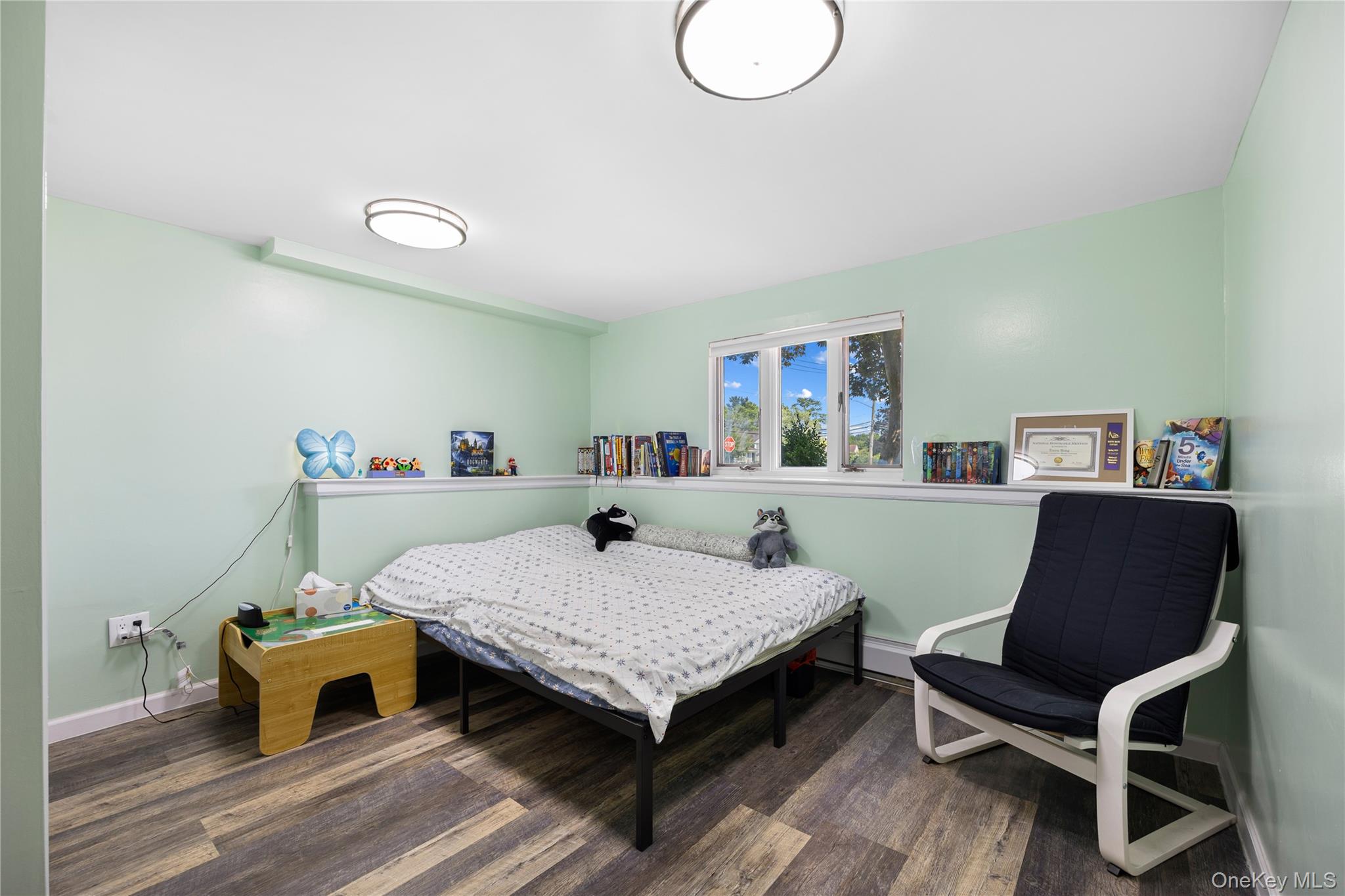 #16 photo, 2 York Avenue, 长岛 贝斯佩奇 Bethpage , NY 11714