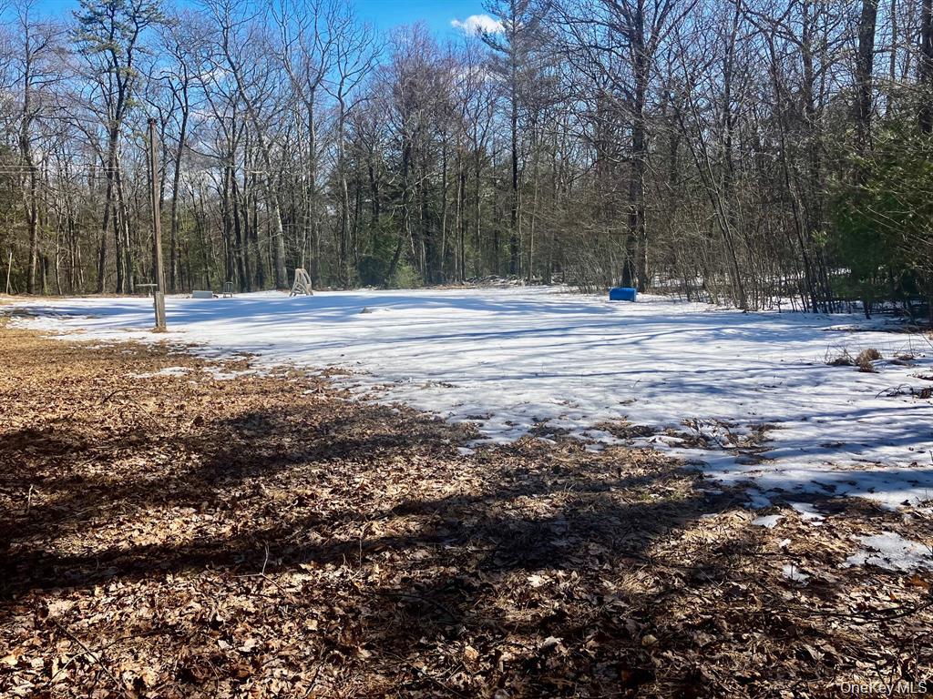 #17 photo, 87 W Peenpack Trail, Sparrowbush , NY 12780