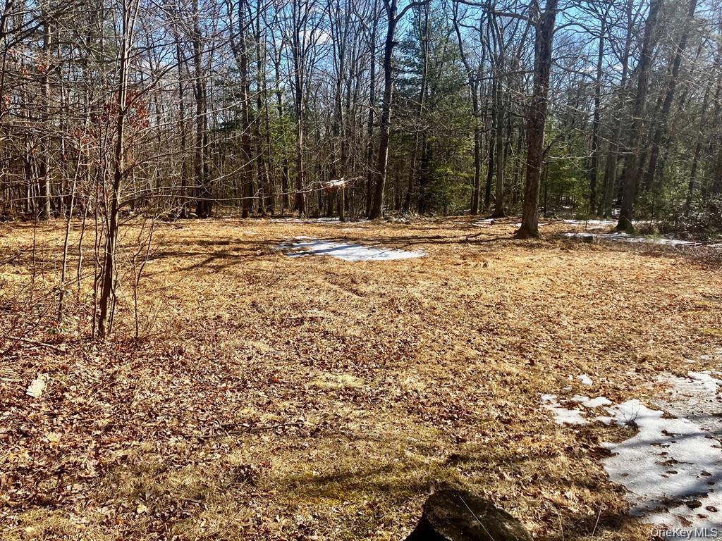 #18 photo, 87 W Peenpack Trail, Sparrowbush , NY 12780