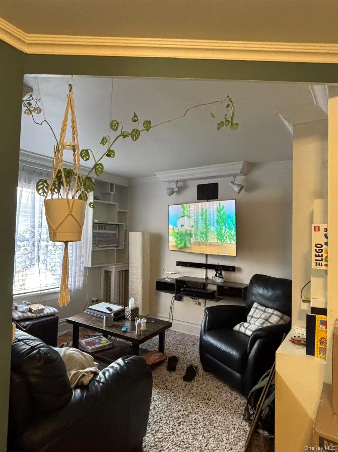 #4 photo, 57-15 66th Street, 皇后区 麦斯佩斯 Maspeth , NY 11378