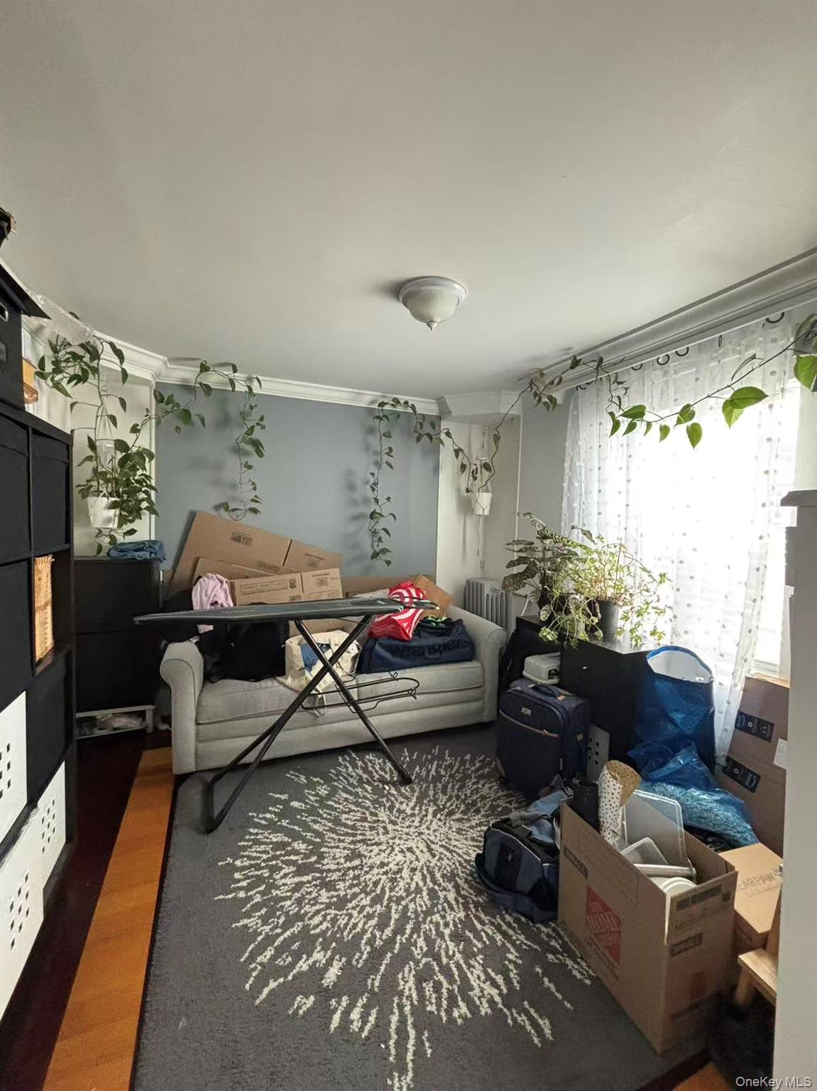 #6 photo, 57-15 66th Street, 皇后区 麦斯佩斯 Maspeth , NY 11378