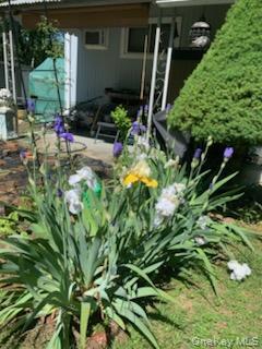 #19 photo, 703 Fresh Pond Avenue, Саффолк ‖ Calverton , NY 11933