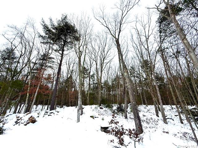 #18 photo, 195 W Mohican Trail, Glen Spey , NY 12737