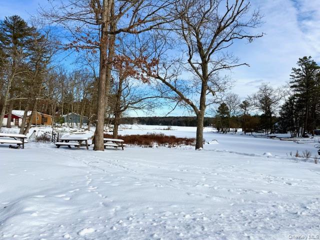 #2 photo, 195 W Mohican Trail, Glen Spey , NY 12737