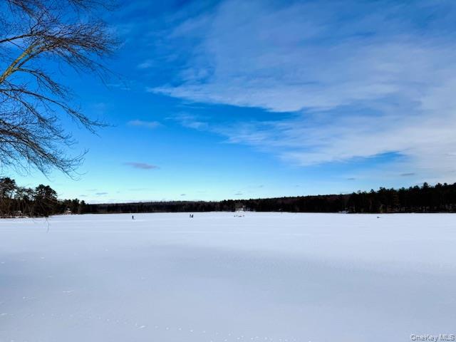 #3 photo, 195 W Mohican Trail, Glen Spey , NY 12737