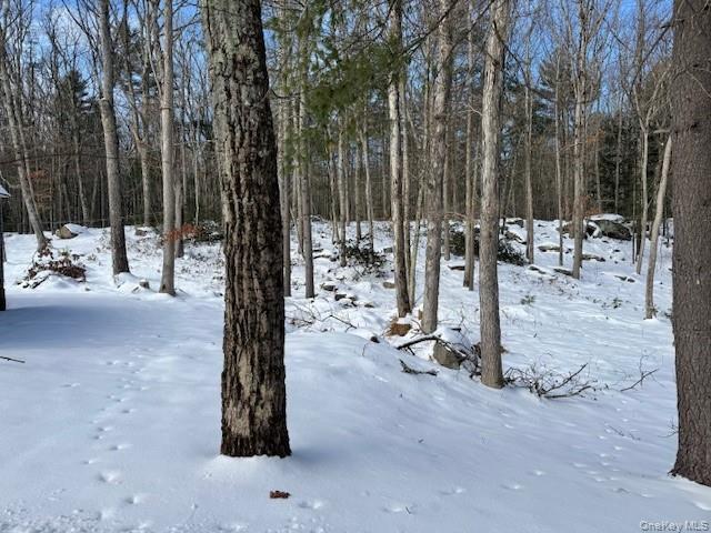 #5 photo, 195 W Mohican Trail, Glen Spey , NY 12737