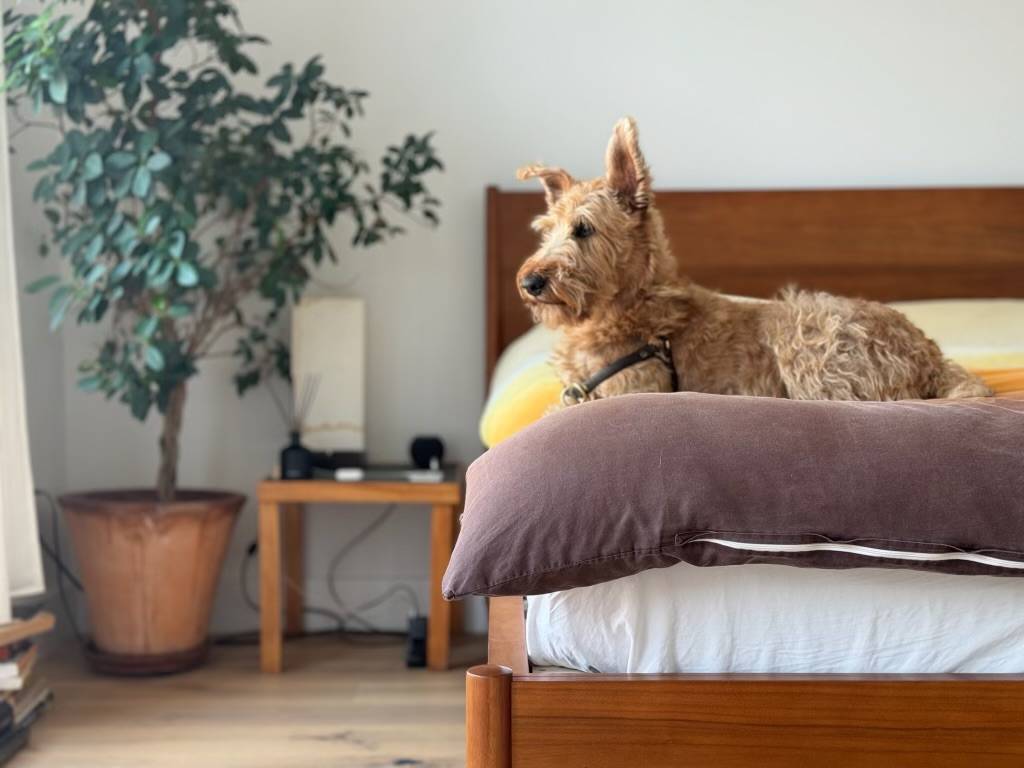 #15 photo, 189 Conover Street, #2A, Red Hook , NY 11231