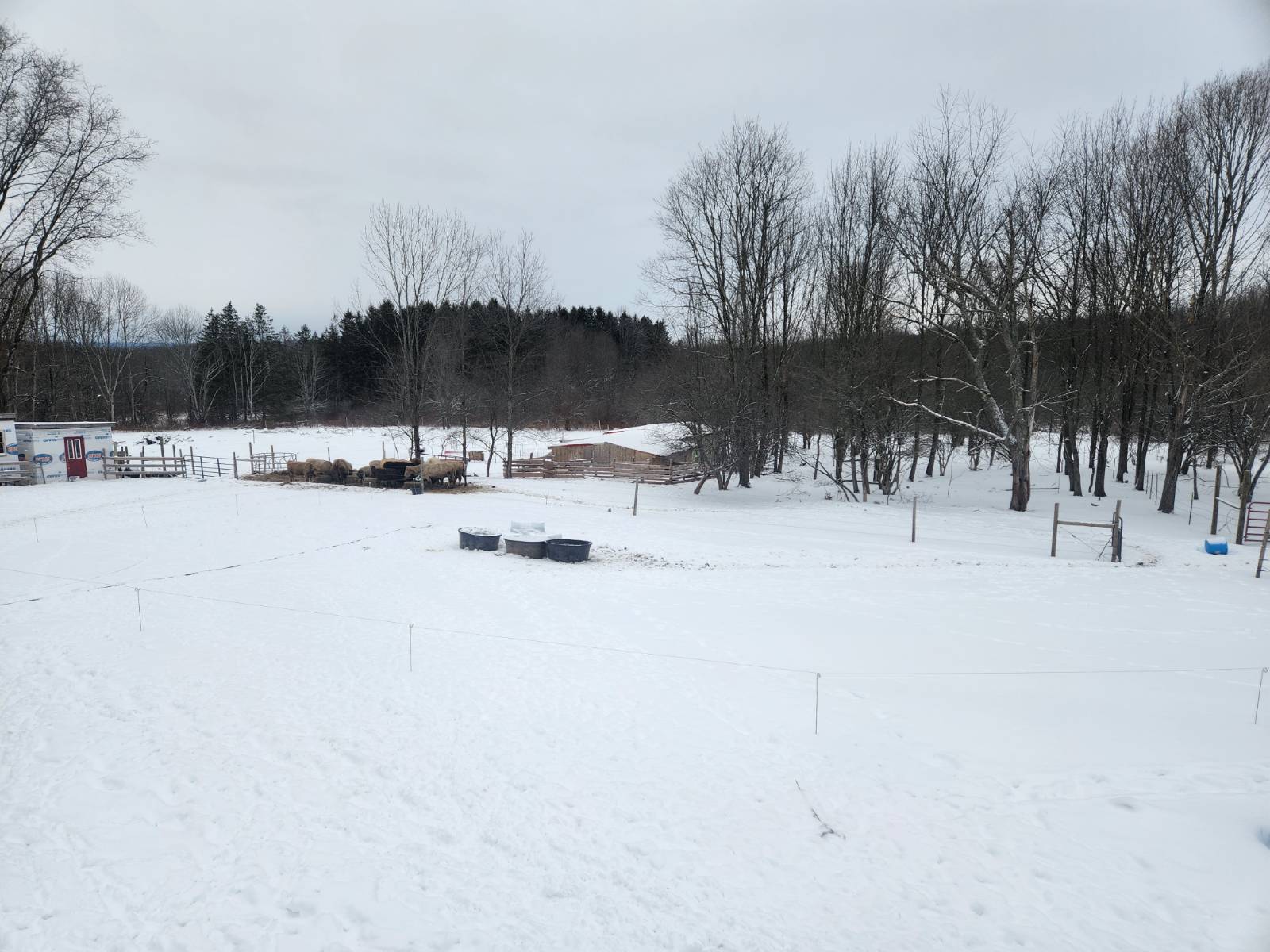 #3 photo, 245 POSSON RD, Norwich , NY 13815