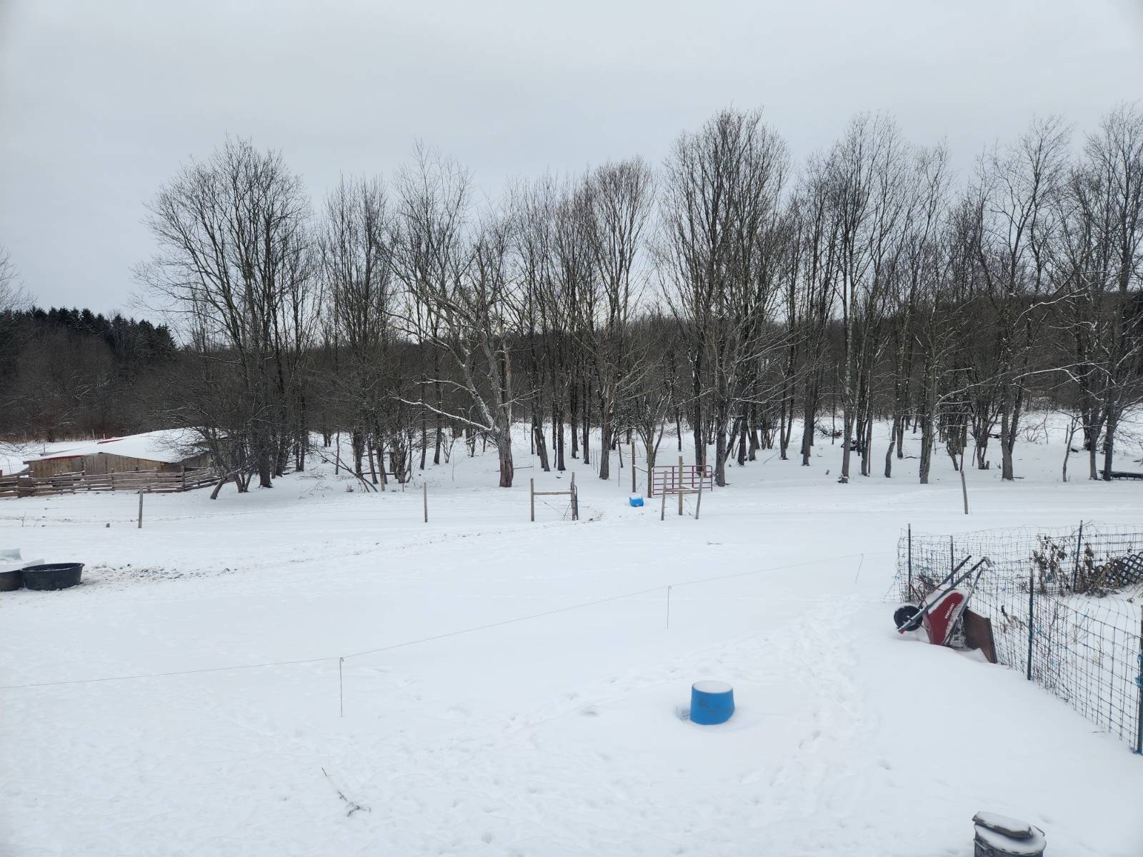 #4 photo, 245 POSSON RD, Norwich , NY 13815