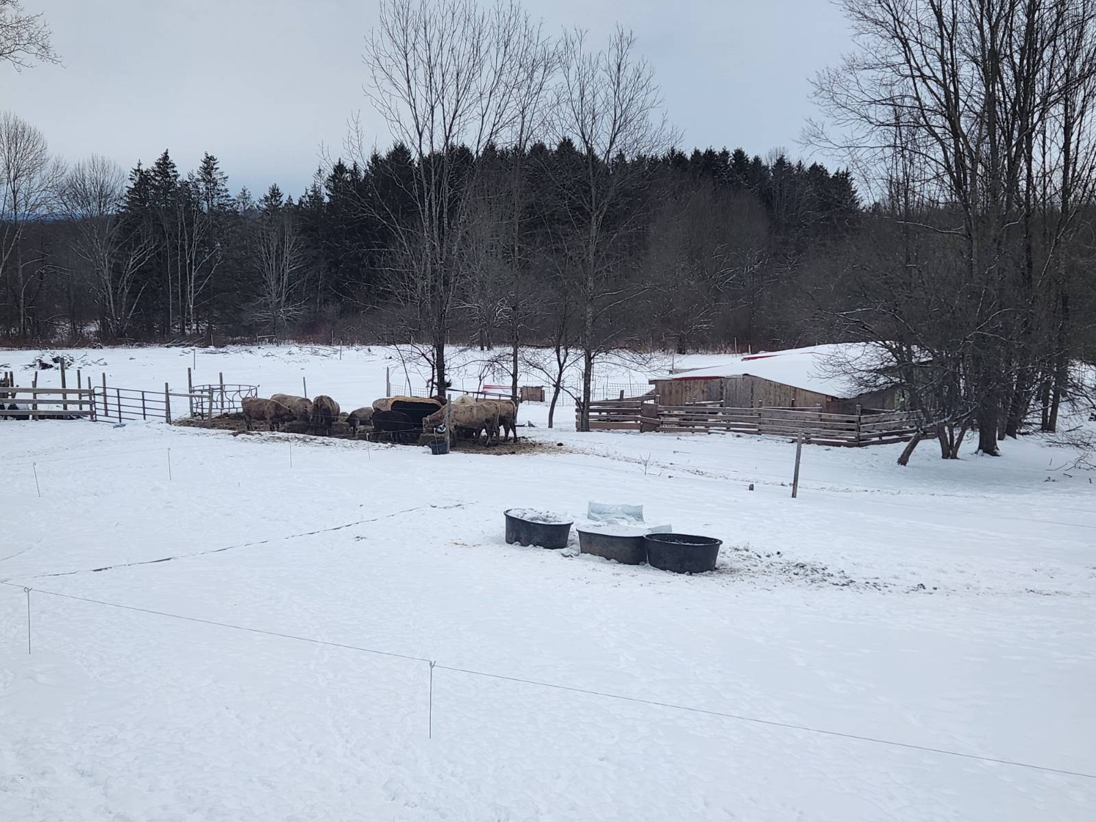 #5 photo, 245 POSSON RD, Norwich , NY 13815