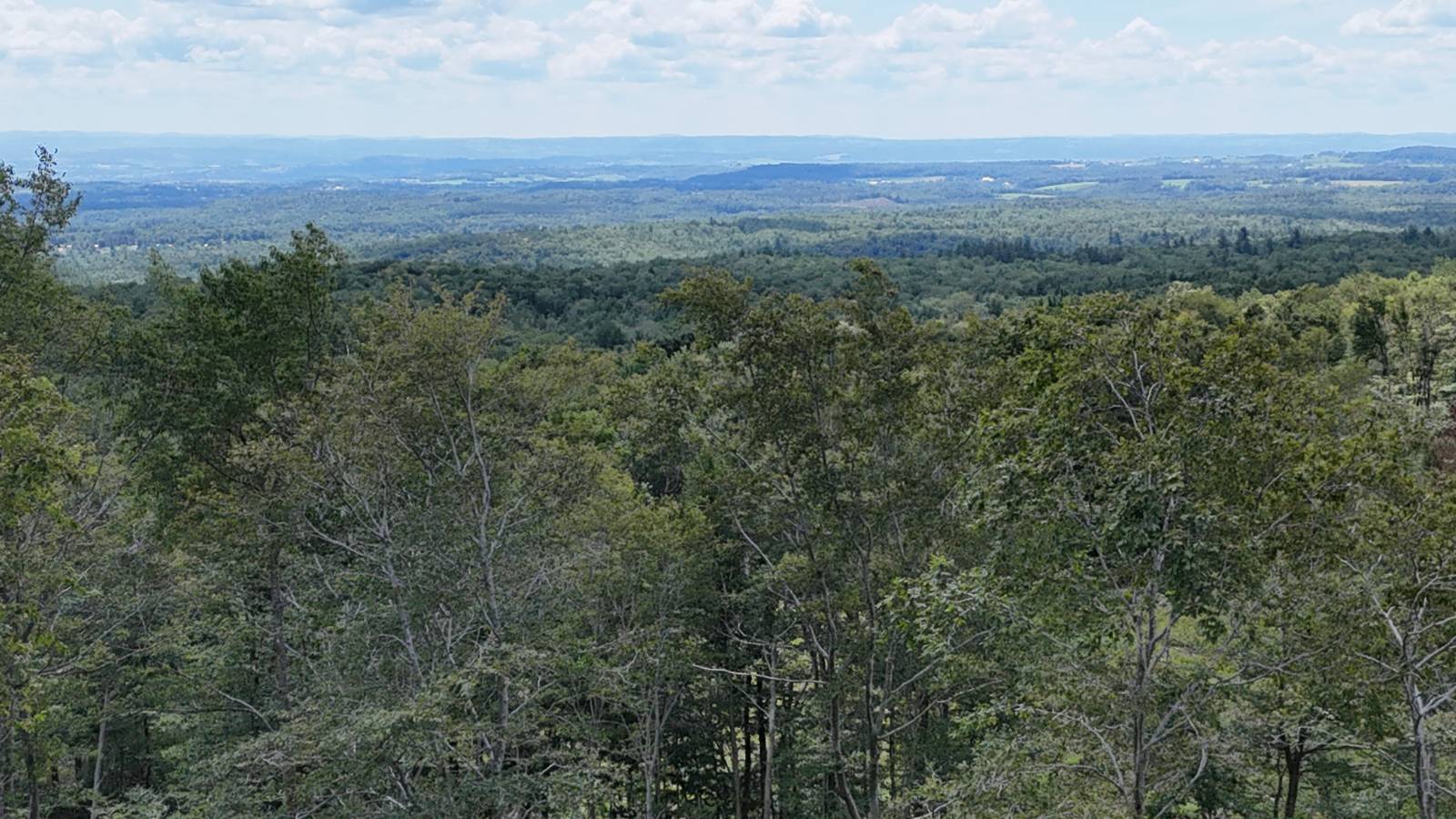 #14 photo, 00 Switzer Rd, Salisbury Center , NY 13454