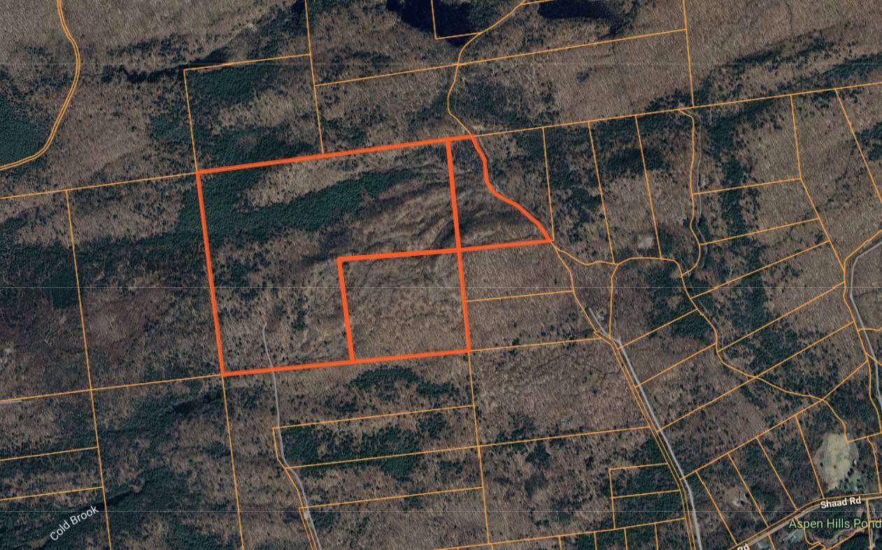 #29 photo, 00 Switzer Rd, Salisbury Center , NY 13454