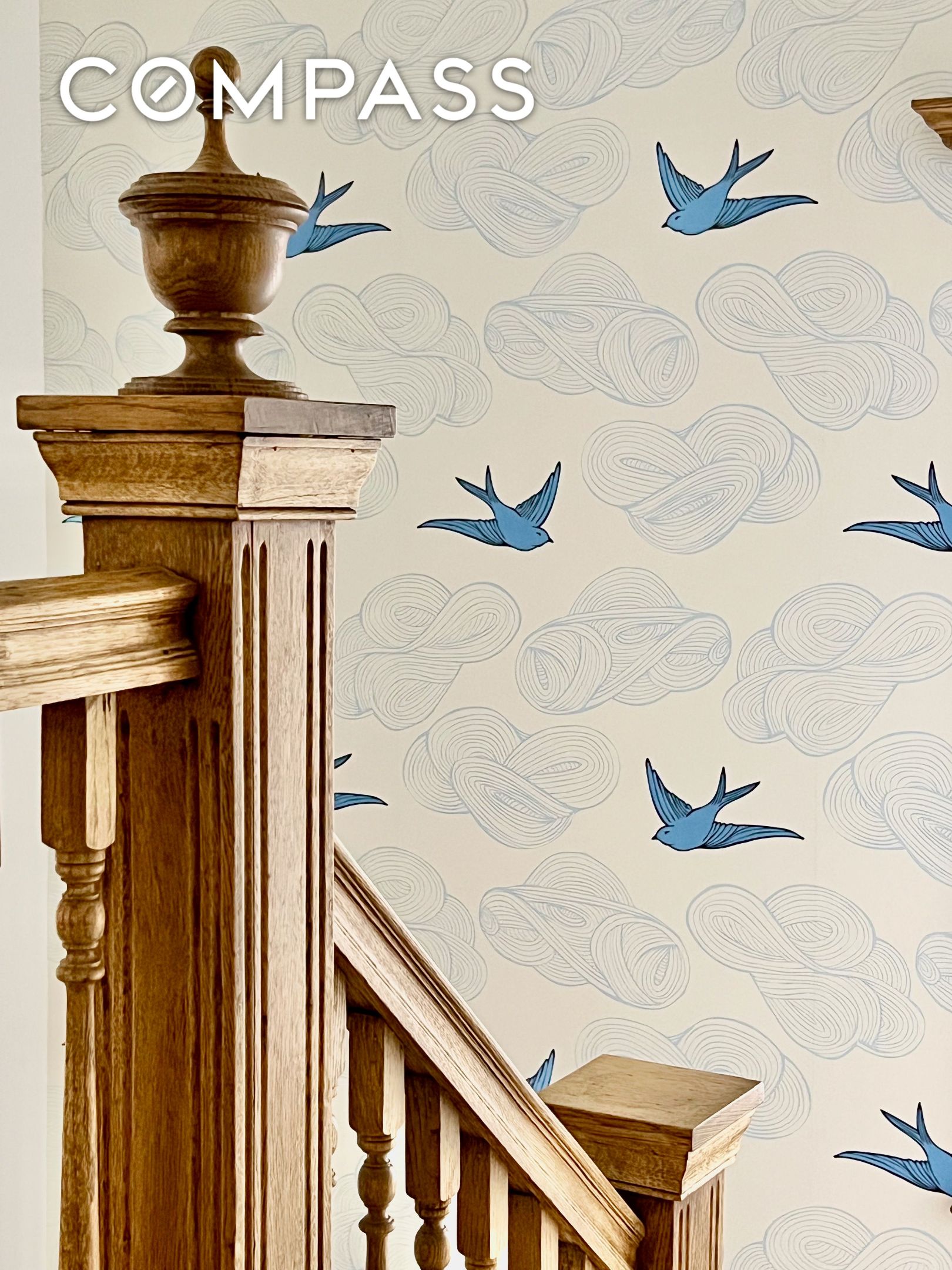 #19 photo, 467 Rugby Road, Ditmas Park , NY 11226