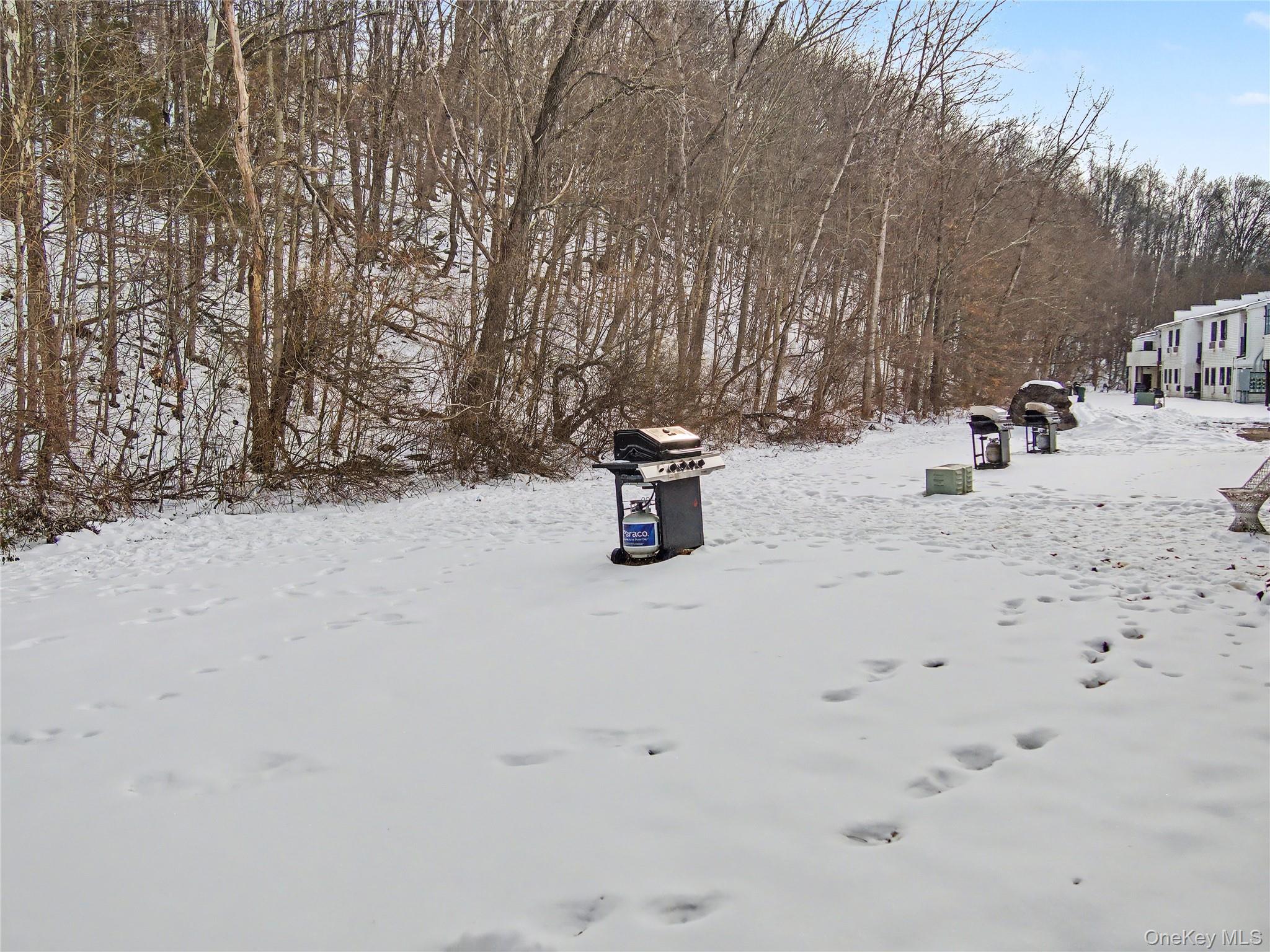 #10 photo, 29 Scarborough Lane, Wappingers Falls , NY 12590