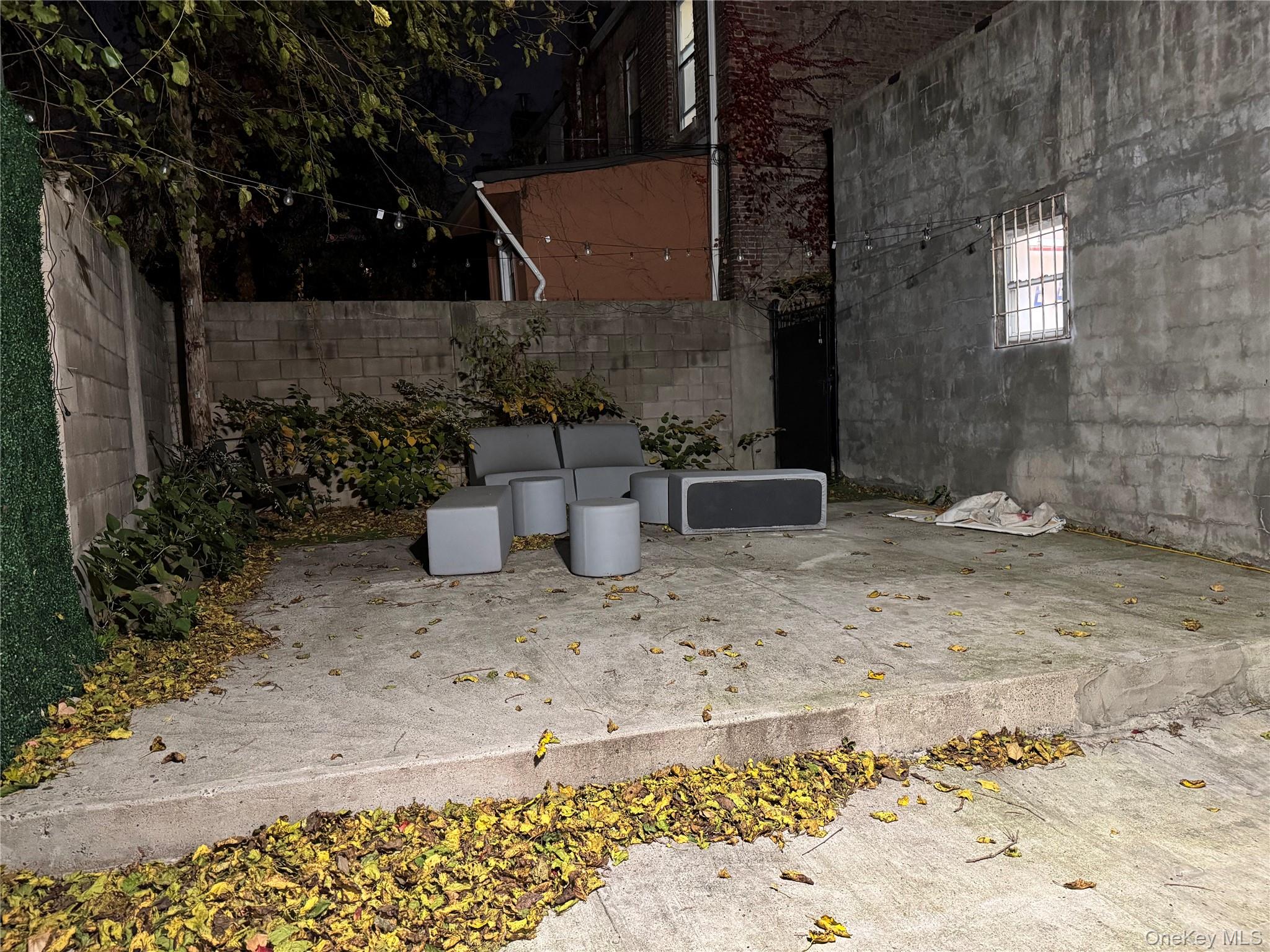 #7 photo, 2313 Tilden Avenue, Brooklyn , NY 11226