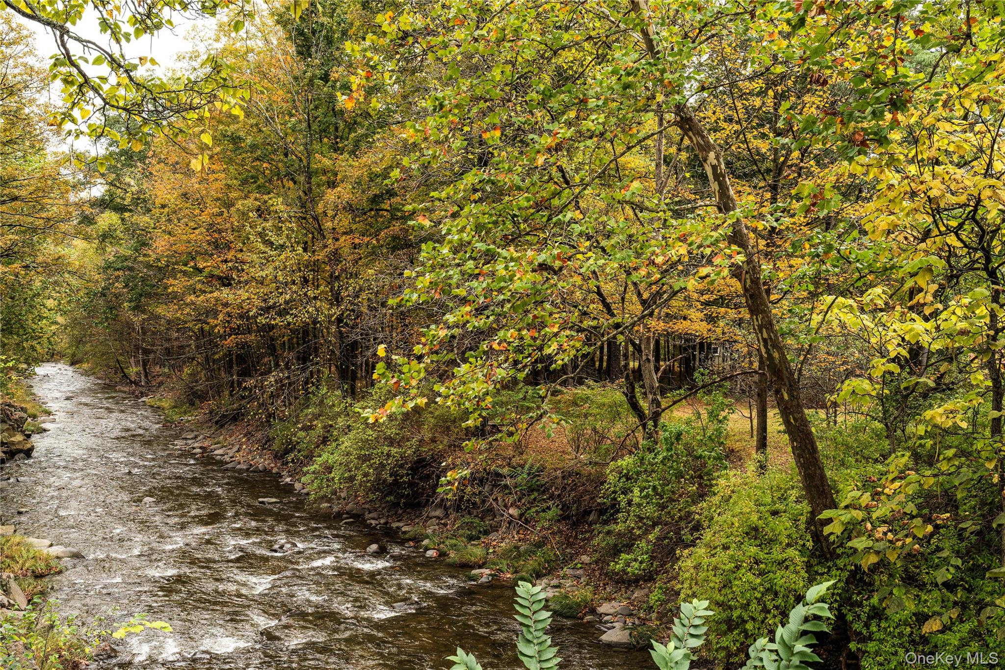 #7 photo, 1 Wittenberg Road, Woodstock , NY 12409