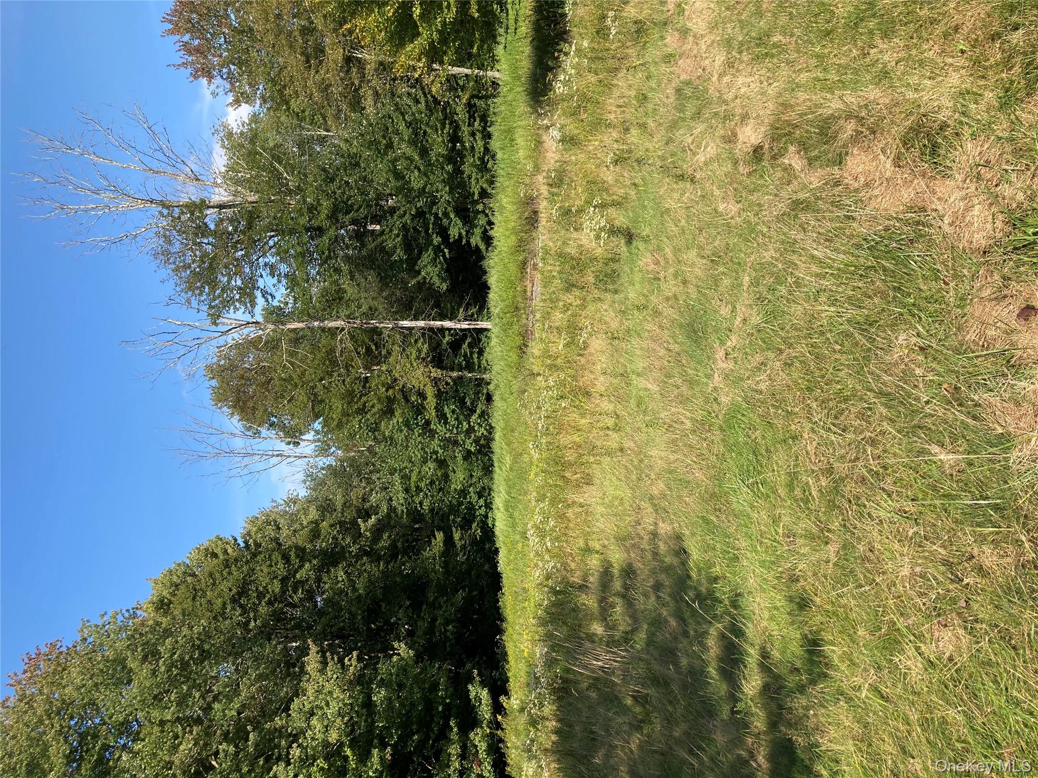 #3 photo, 699 Budd Road, Woodbourne , NY 12788