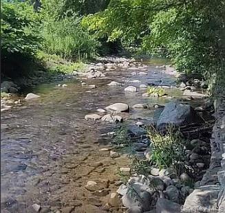 #5 photo, 108 Main Street, Livingston Manor , NY 12758