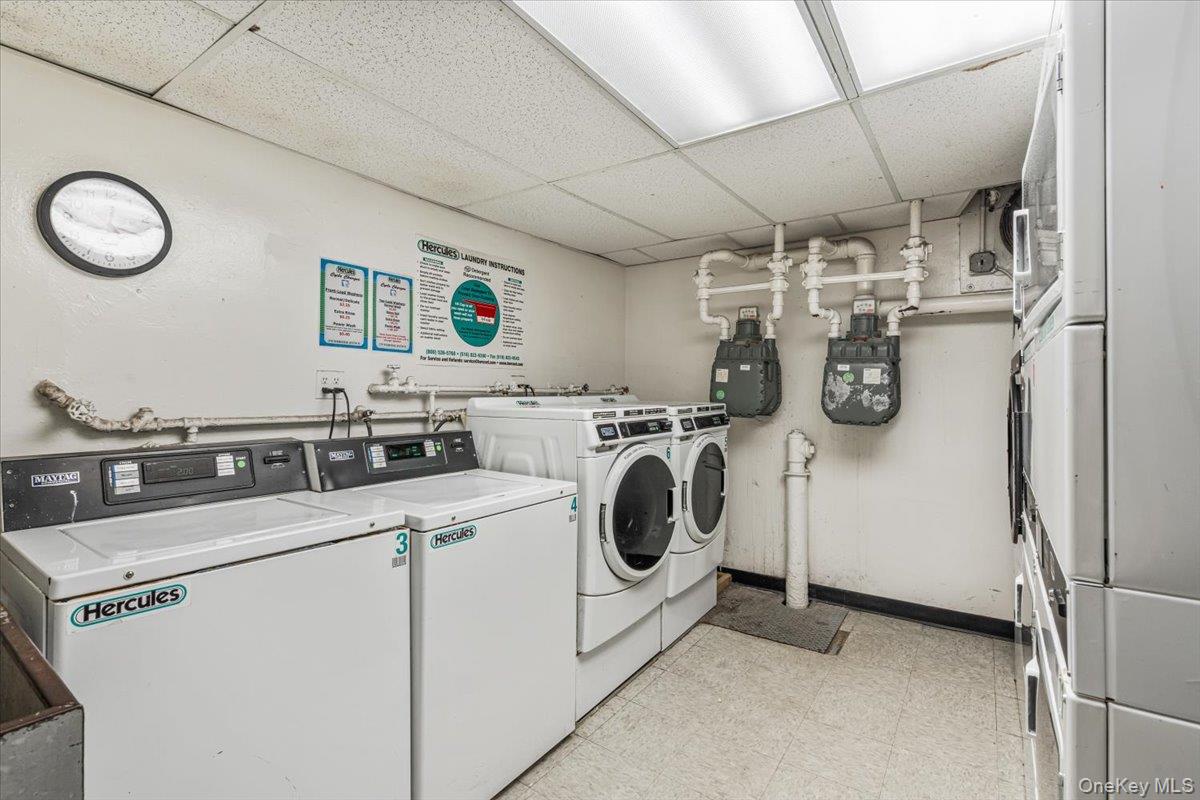 #15 photo, 275 Webster Avenue, Brooklyn , NY 11230