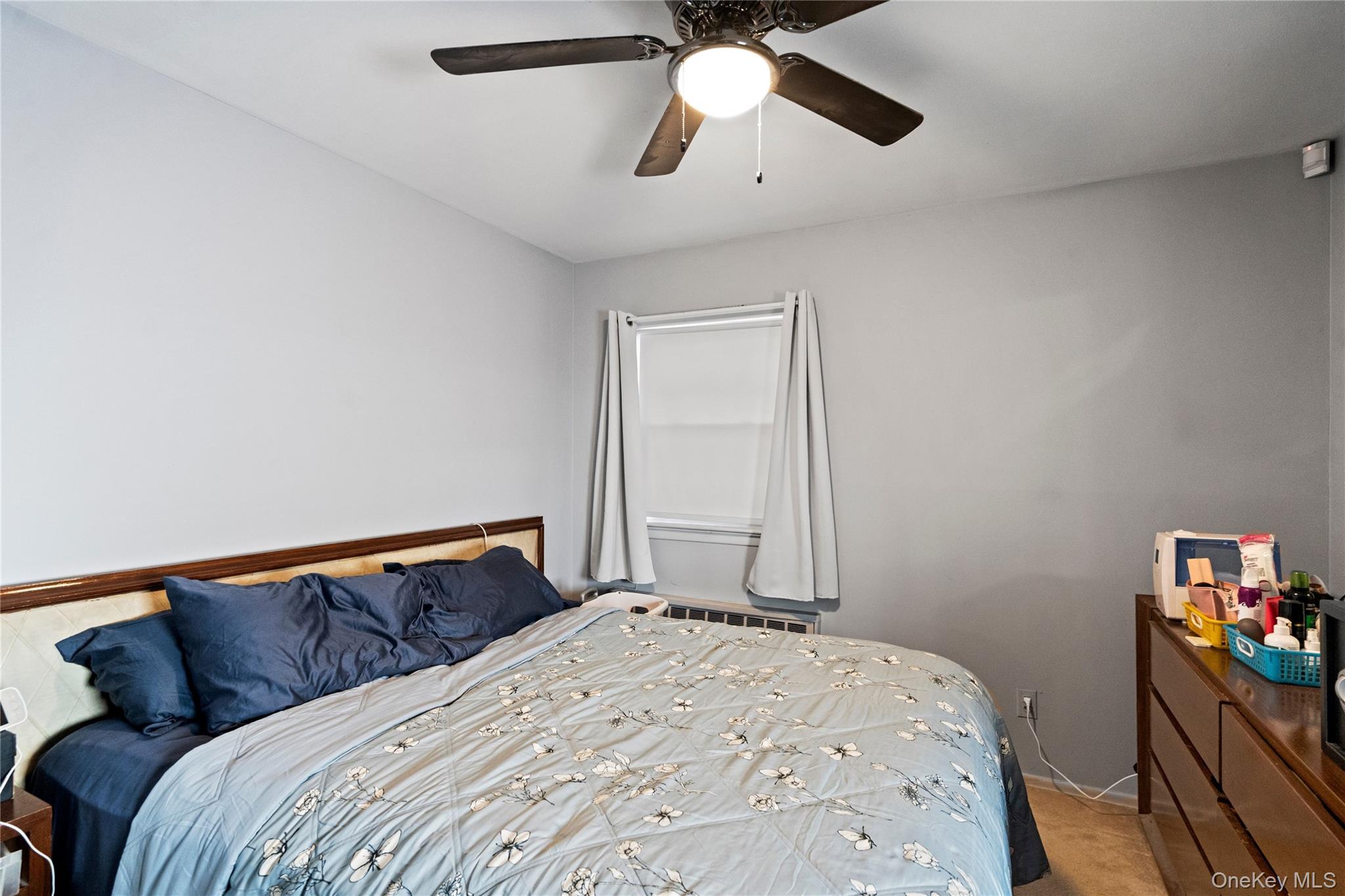 #16 photo, 40 Belmont Boulevard, Elmont , NY 11003