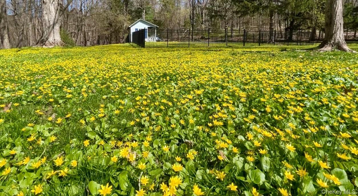 #12 photo, 645 TYRELL Road, Millbrook , NY 12545