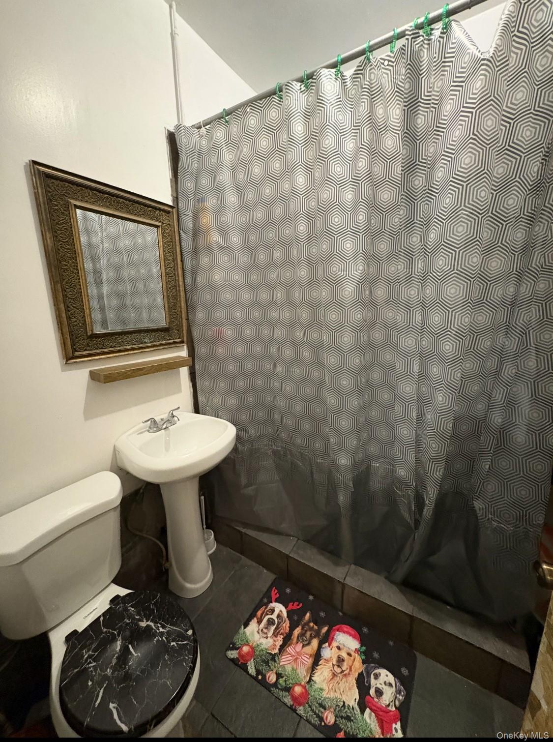 #14 photo, 1521 Zerega Avenue, Bronx , NY 10462