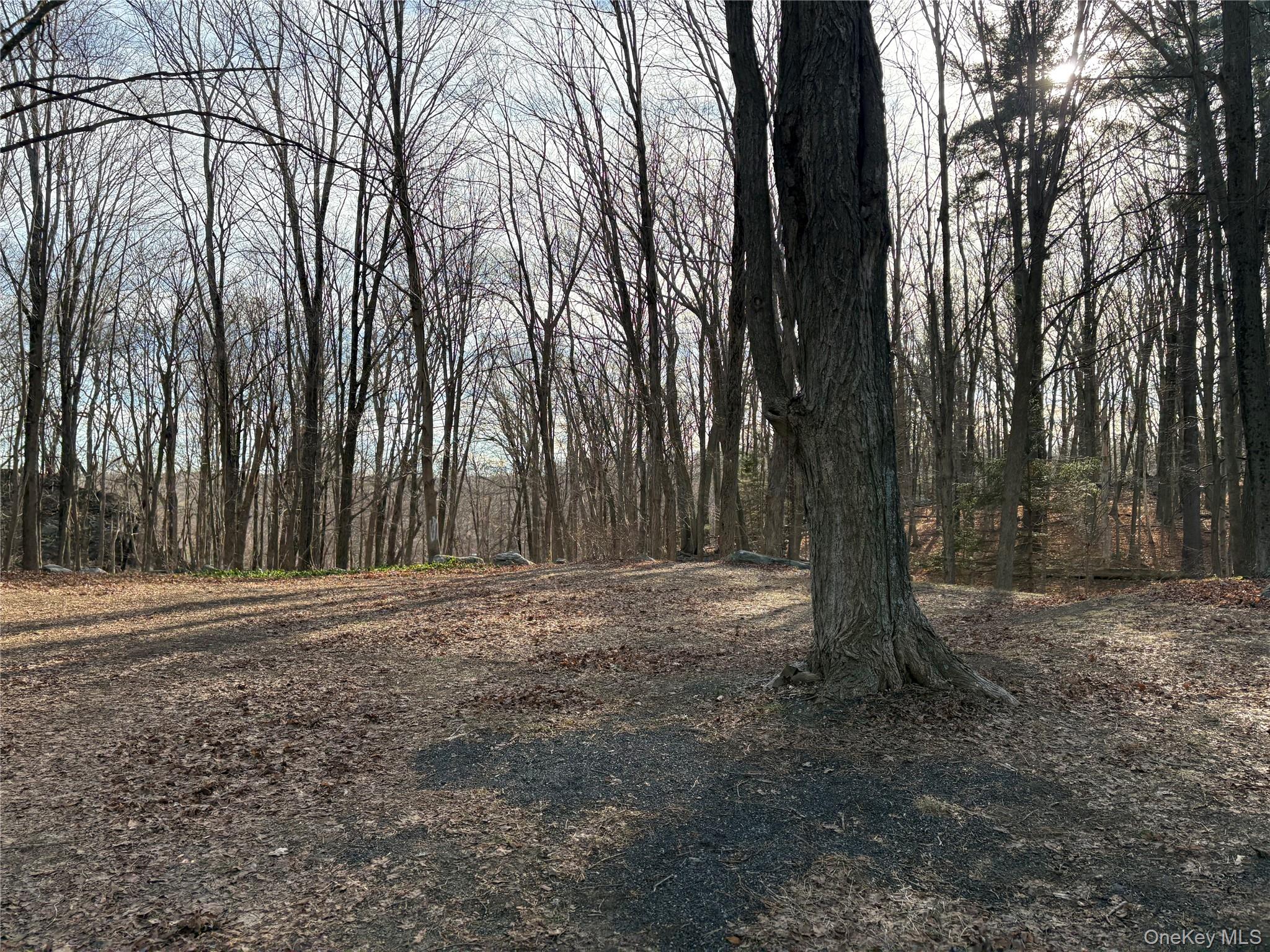 #1 photo, Salem Road, Pound Ridge , NY 10576