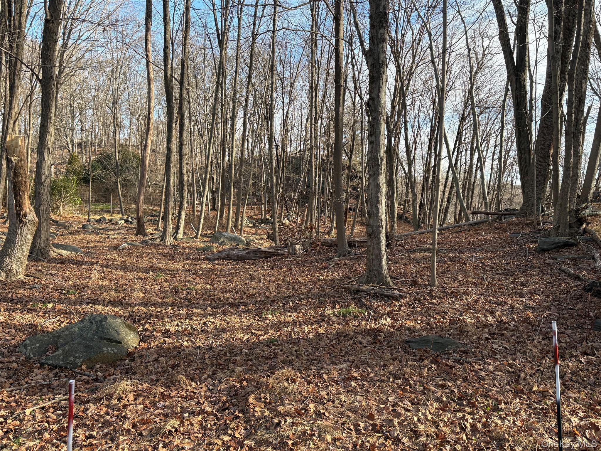 #3 photo, Salem Road, Pound Ridge , NY 10576