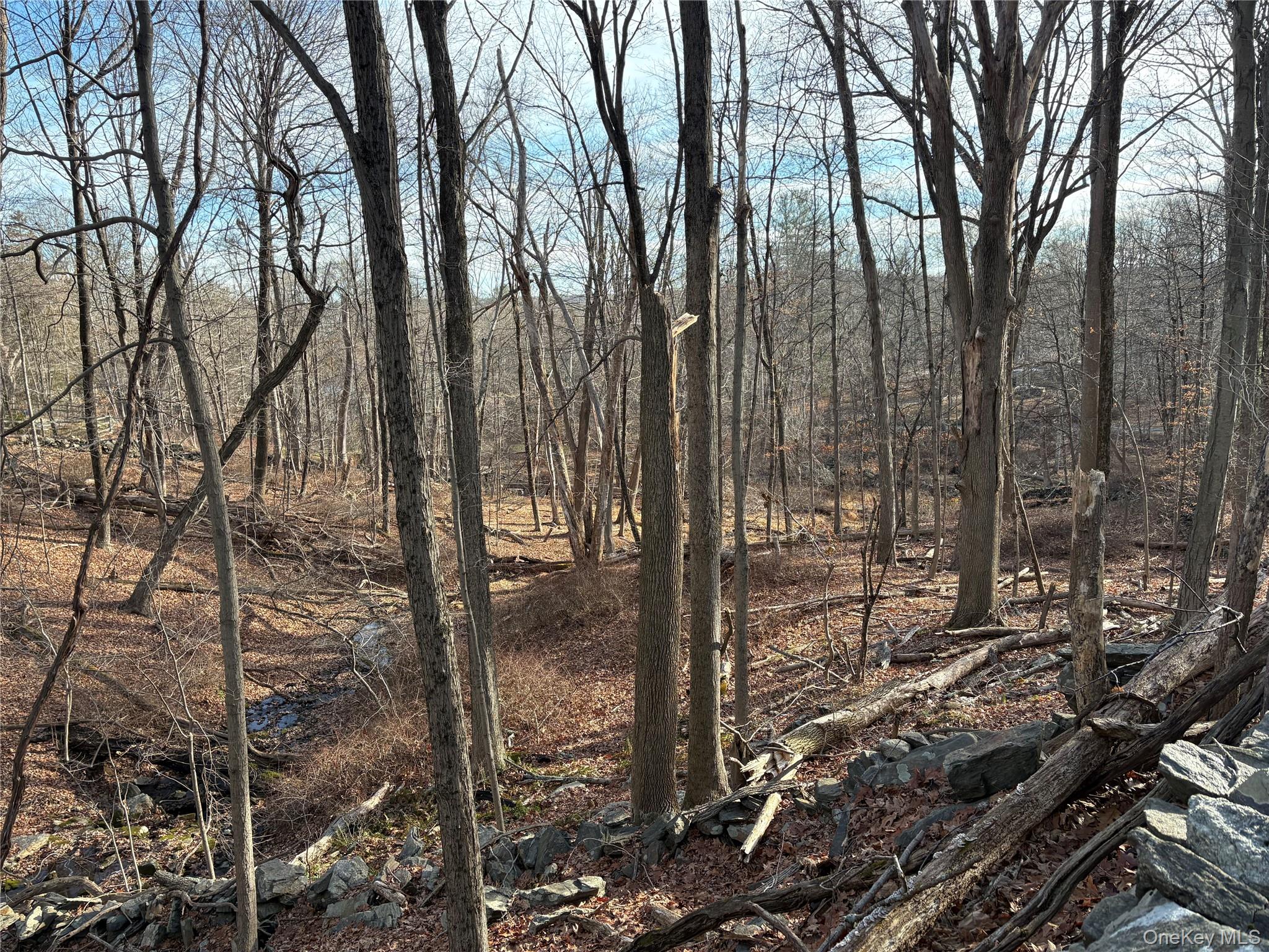 #4 photo, Salem Road, Pound Ridge , NY 10576