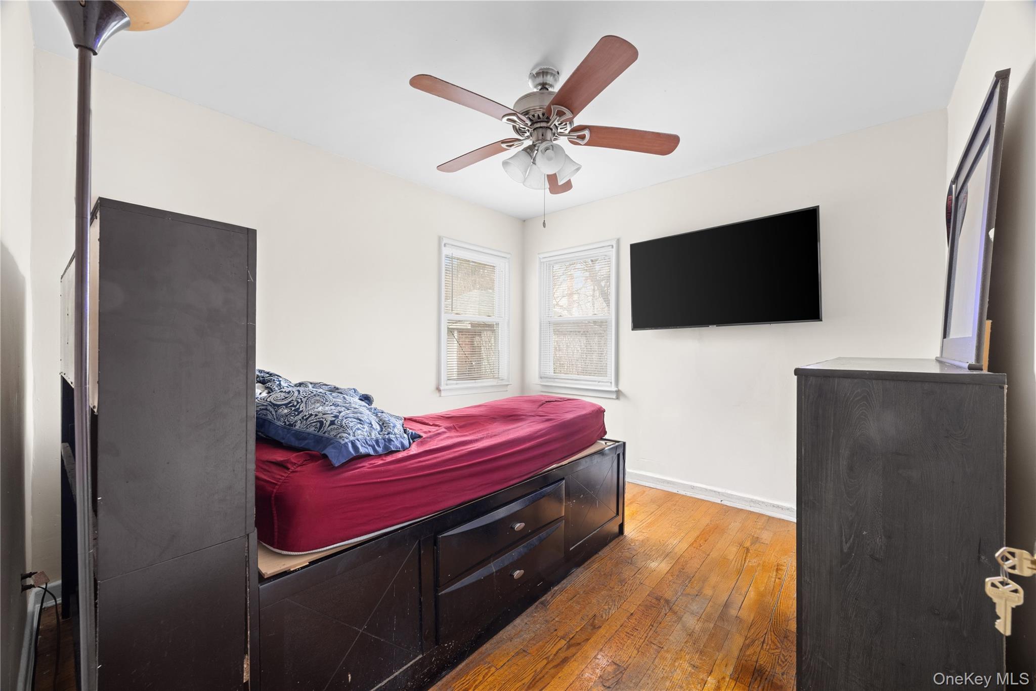 #17 photo, 24 Jackson Avenue, Elmont , NY 11003