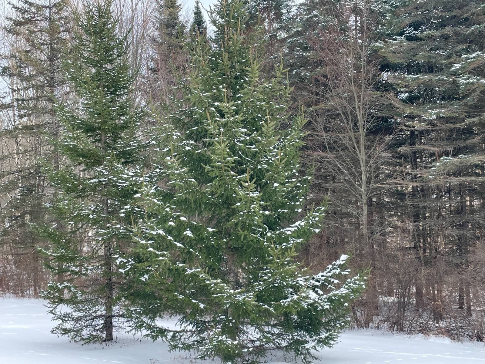 #76 photo, 382 Old Rd, Cropseyville , NY 12052