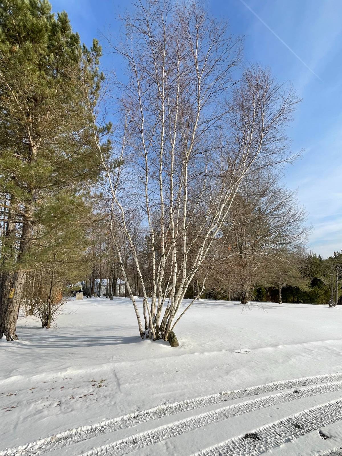 #78 photo, 382 Old Rd, Cropseyville , NY 12052
