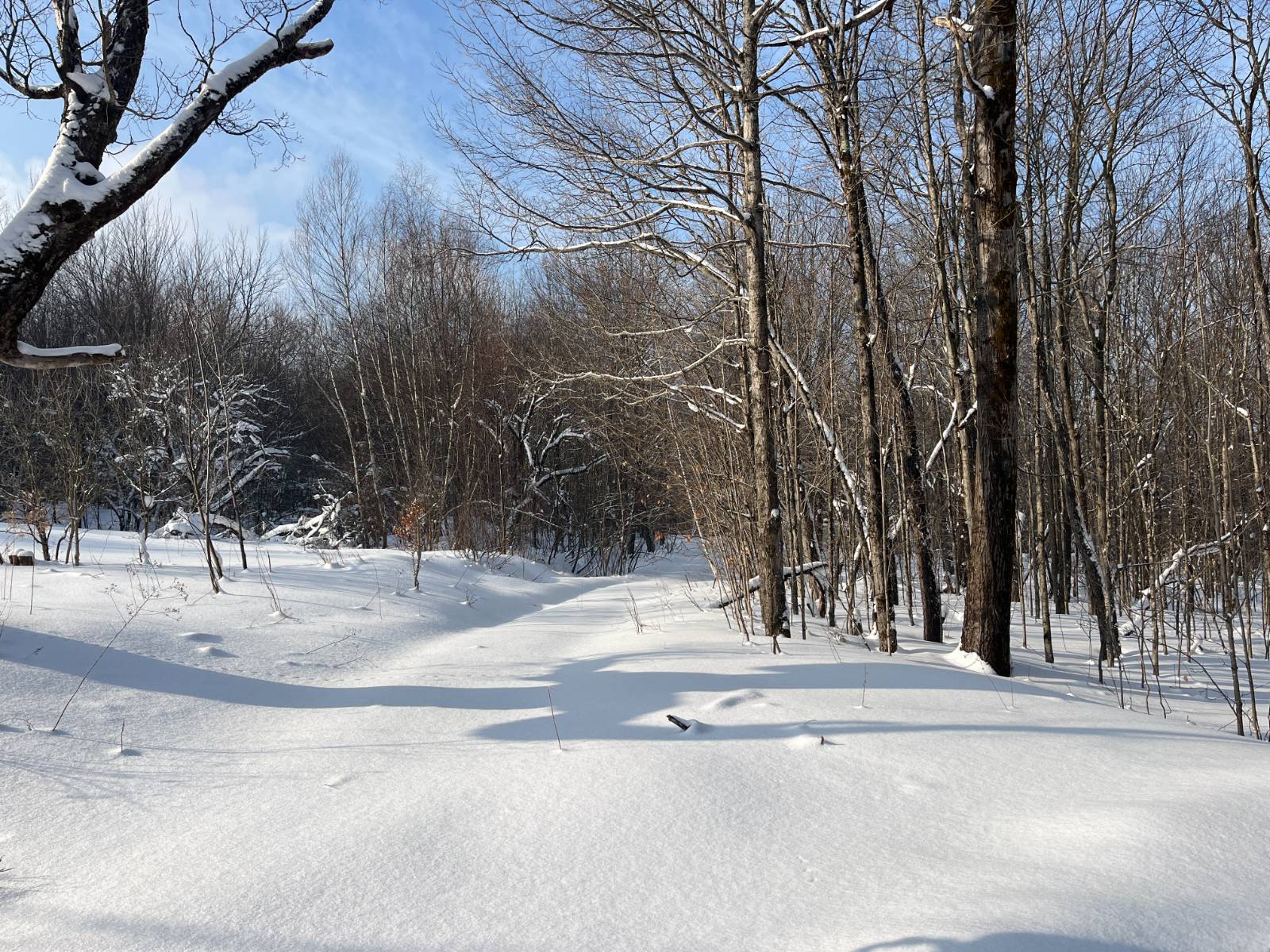 #13 photo, 00 Coffin Mills Rd, Oswegatchie , NY 13670