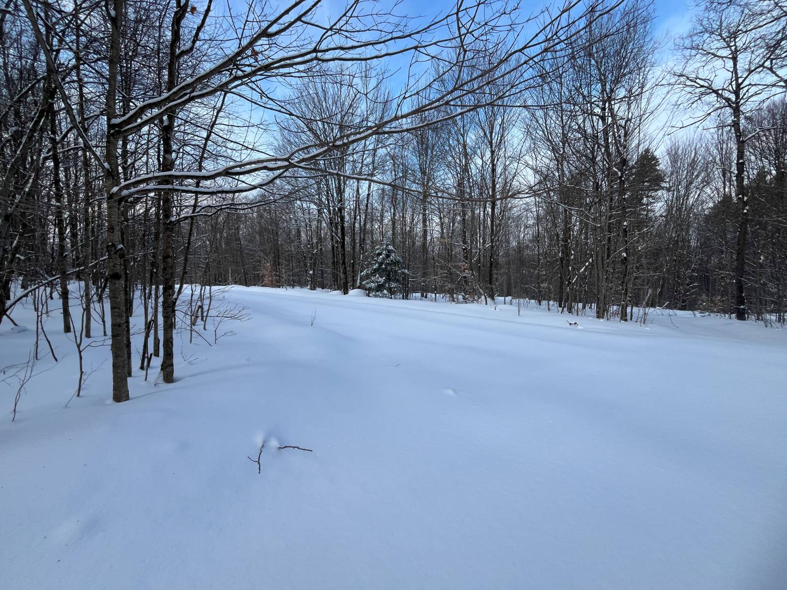 #14 photo, 00 Coffin Mills Rd, Oswegatchie , NY 13670