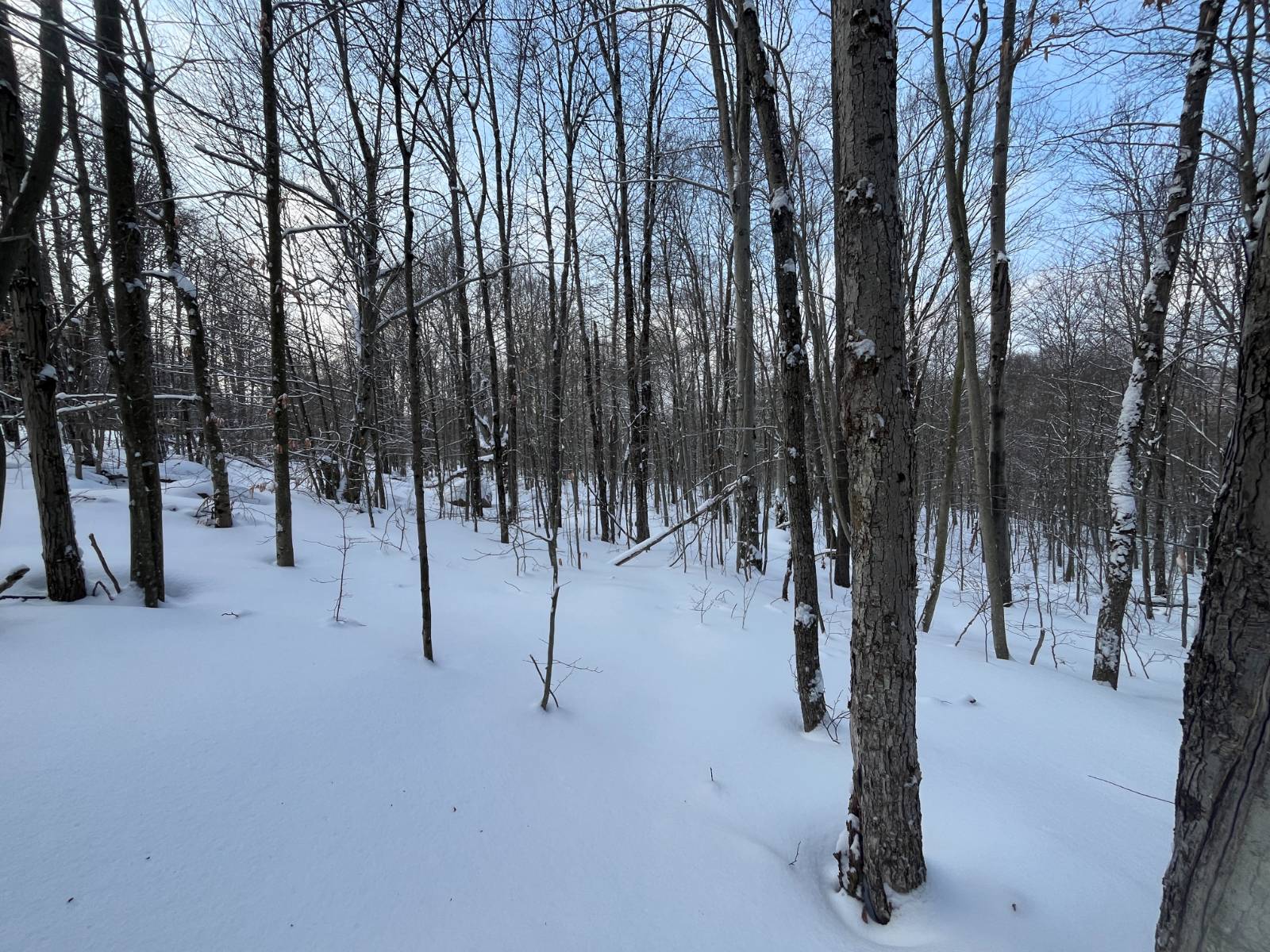 #15 photo, 00 Coffin Mills Rd, Oswegatchie , NY 13670