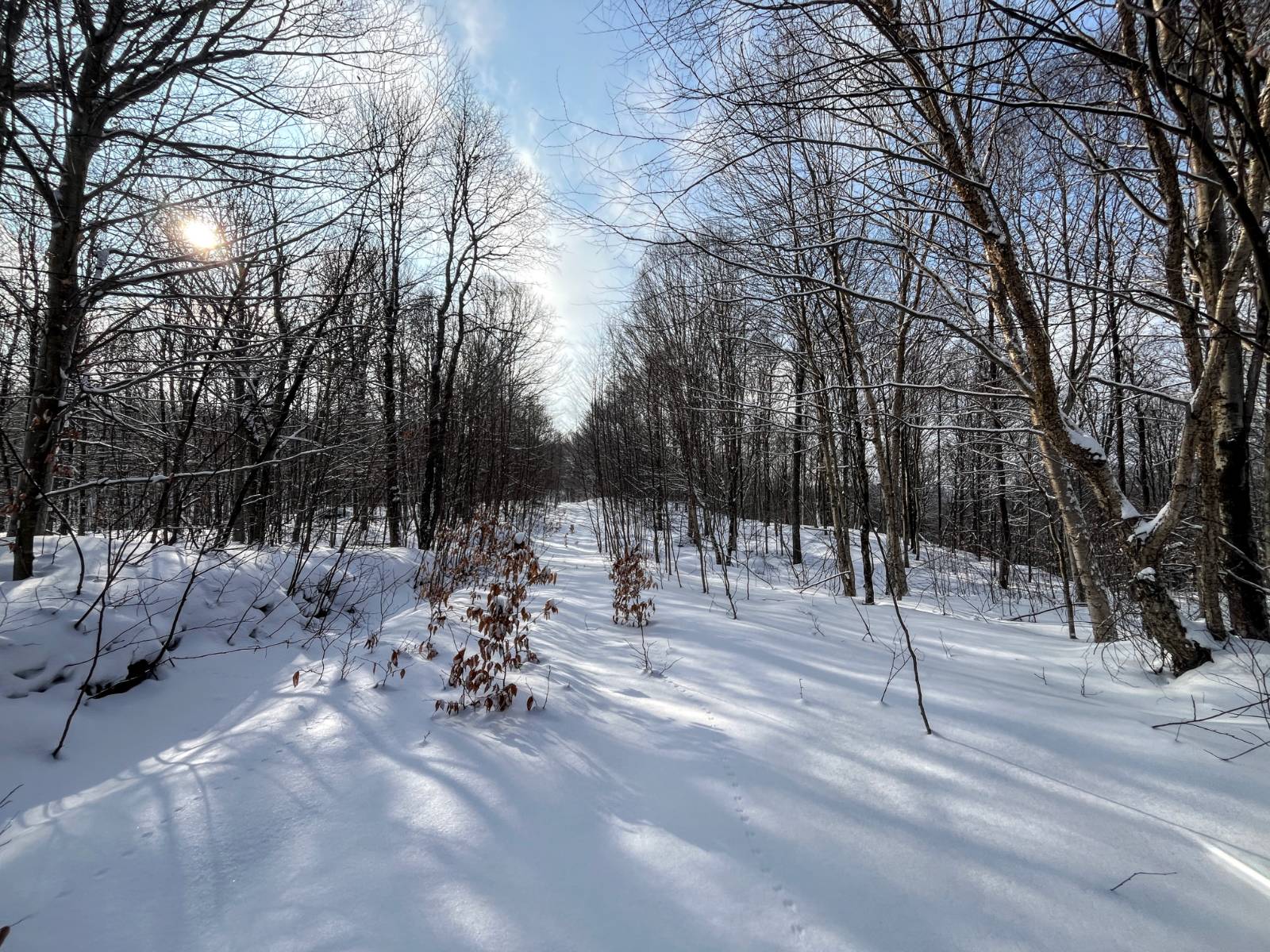 #16 photo, 00 Coffin Mills Rd, Oswegatchie , NY 13670