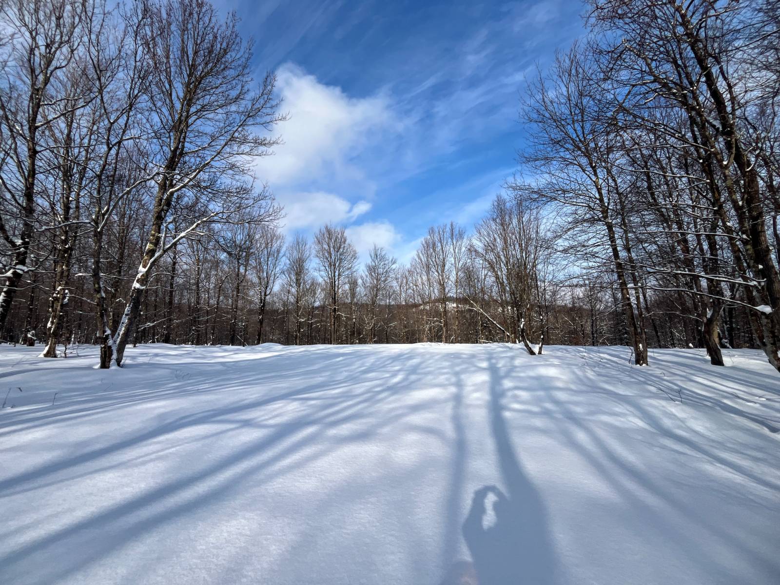 #17 photo, 00 Coffin Mills Rd, Oswegatchie , NY 13670