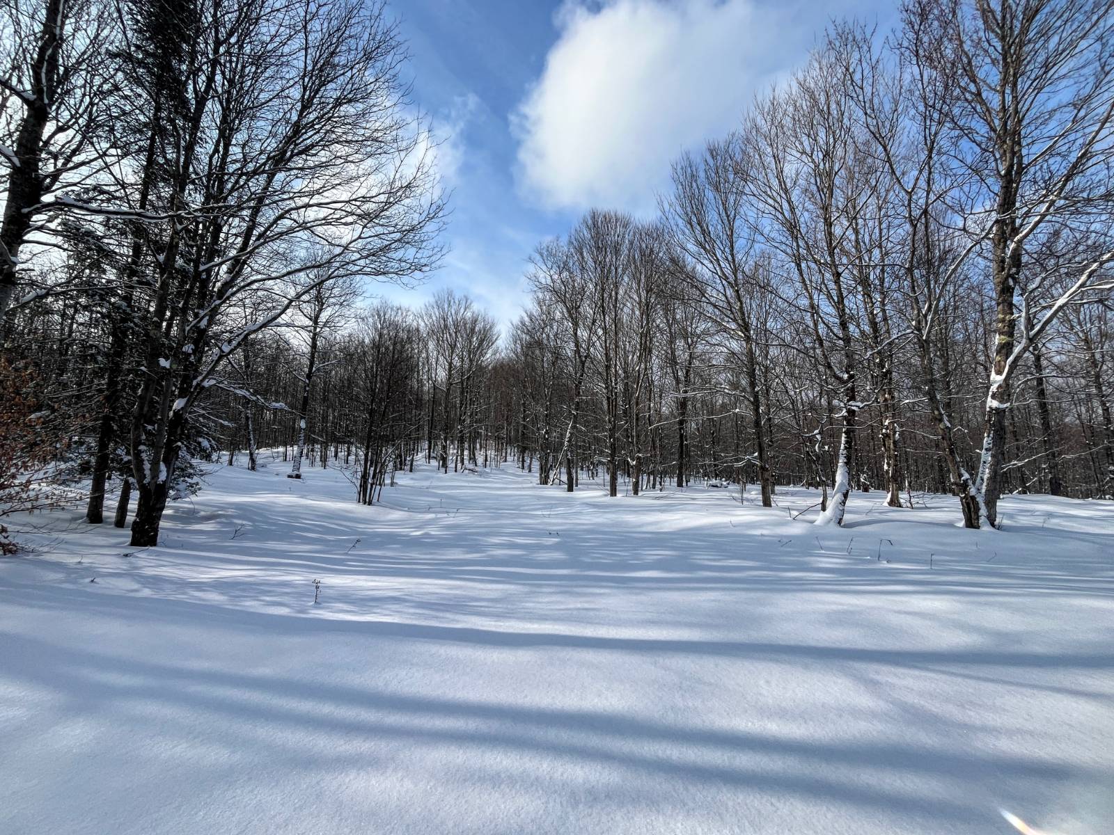 #18 photo, 00 Coffin Mills Rd, Oswegatchie , NY 13670